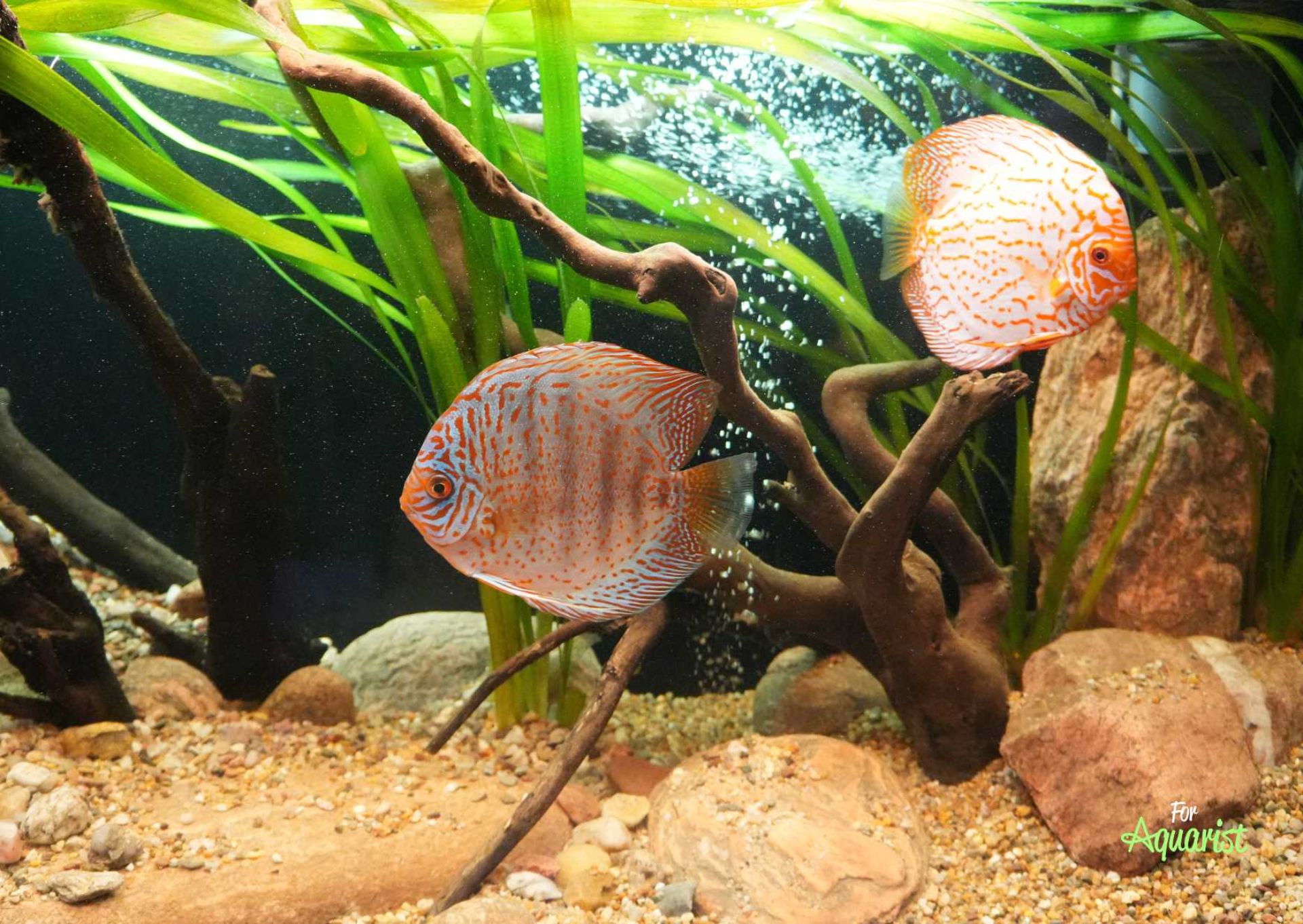 Rychnov Exhibition by Akva-tera