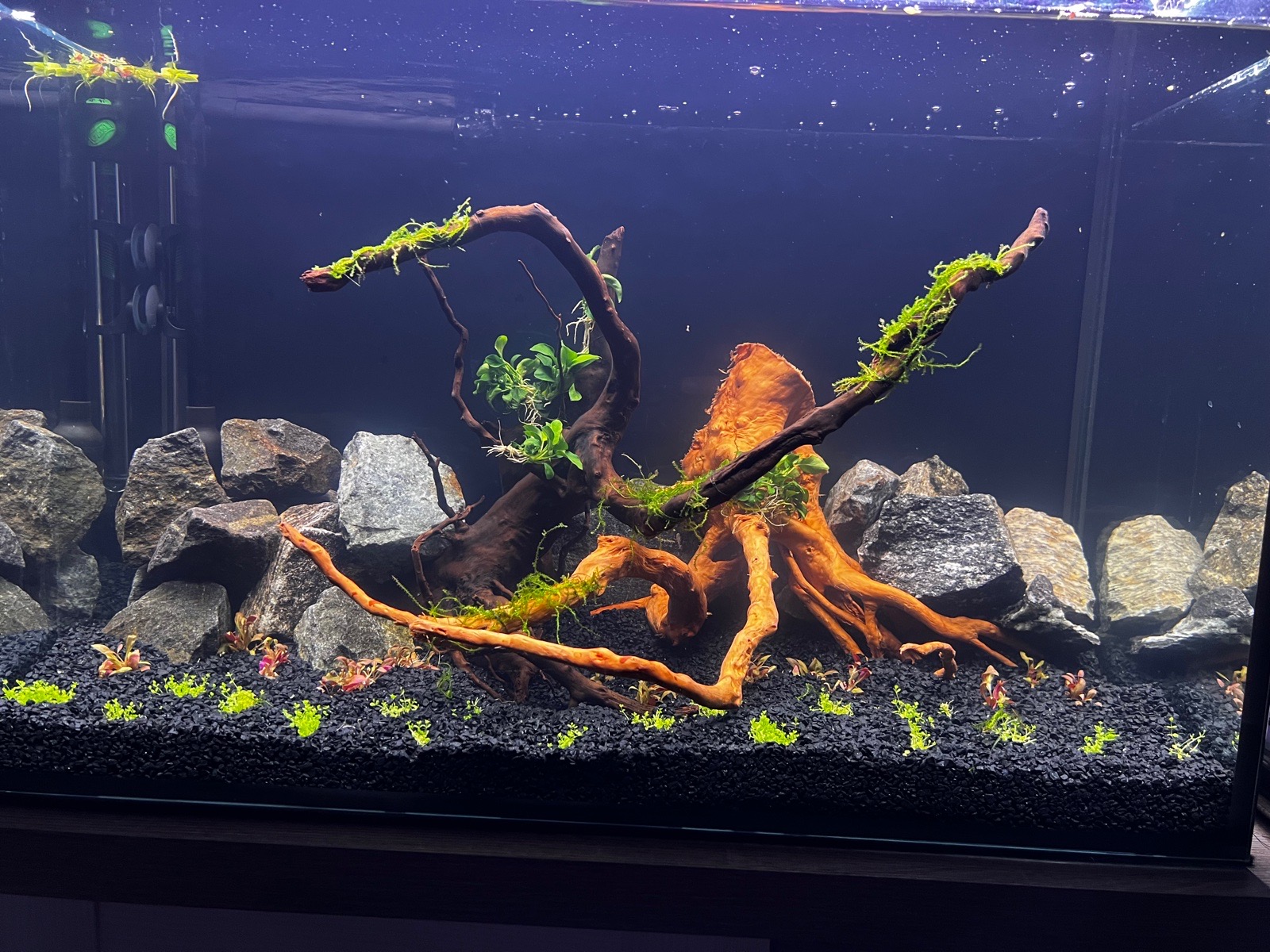 Založení 120l akvária 