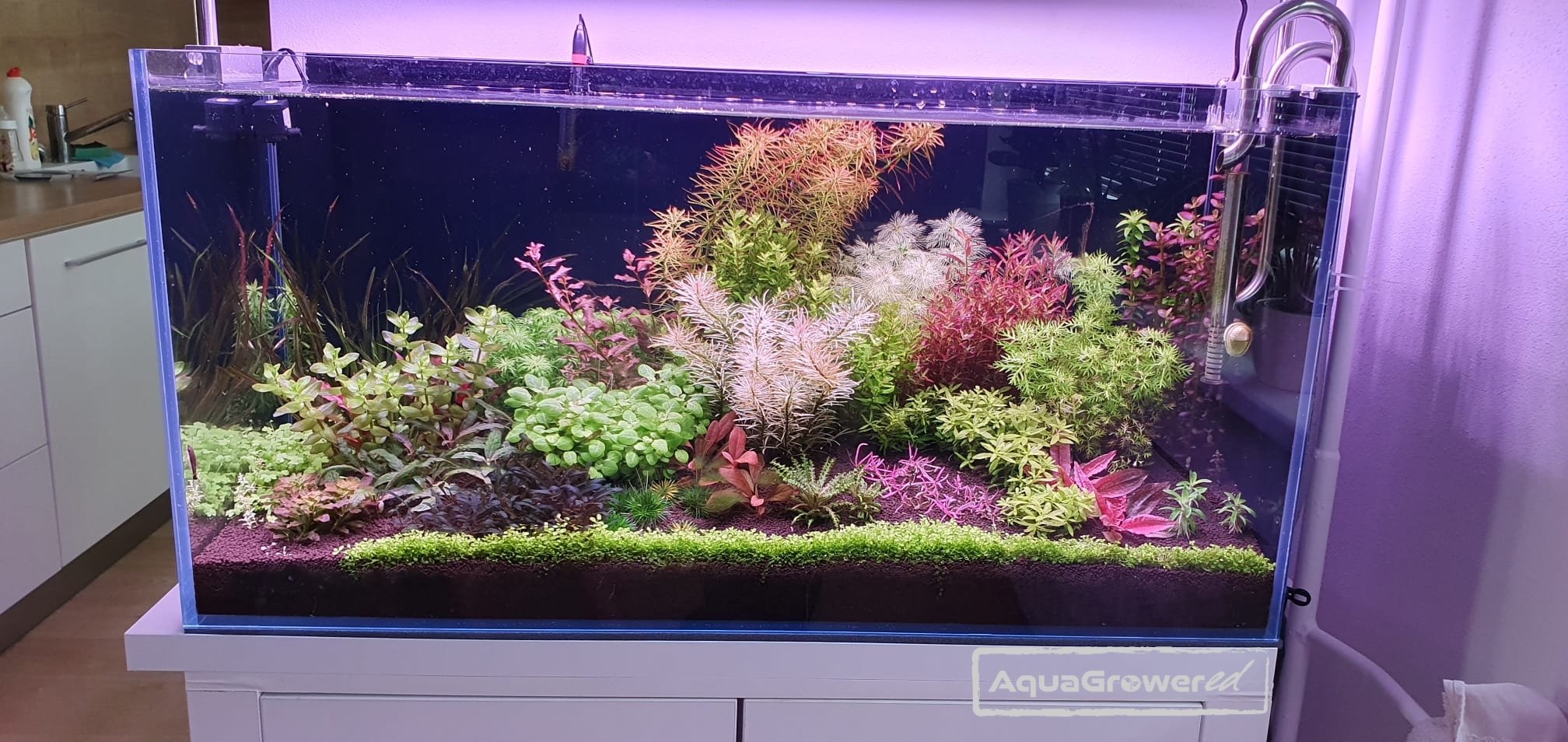 200l