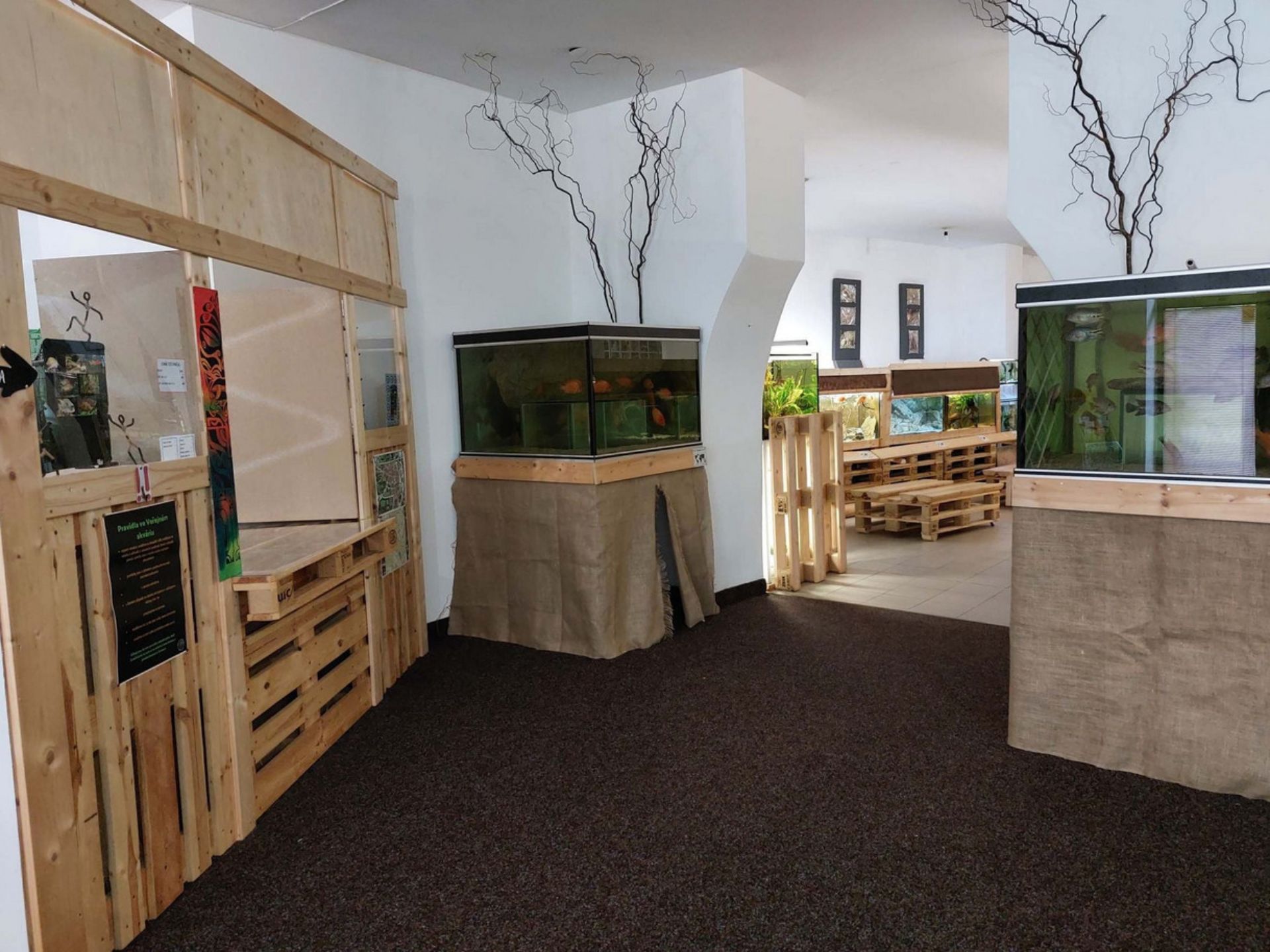 Public aquarium in Česká Lípa – a water world within reach