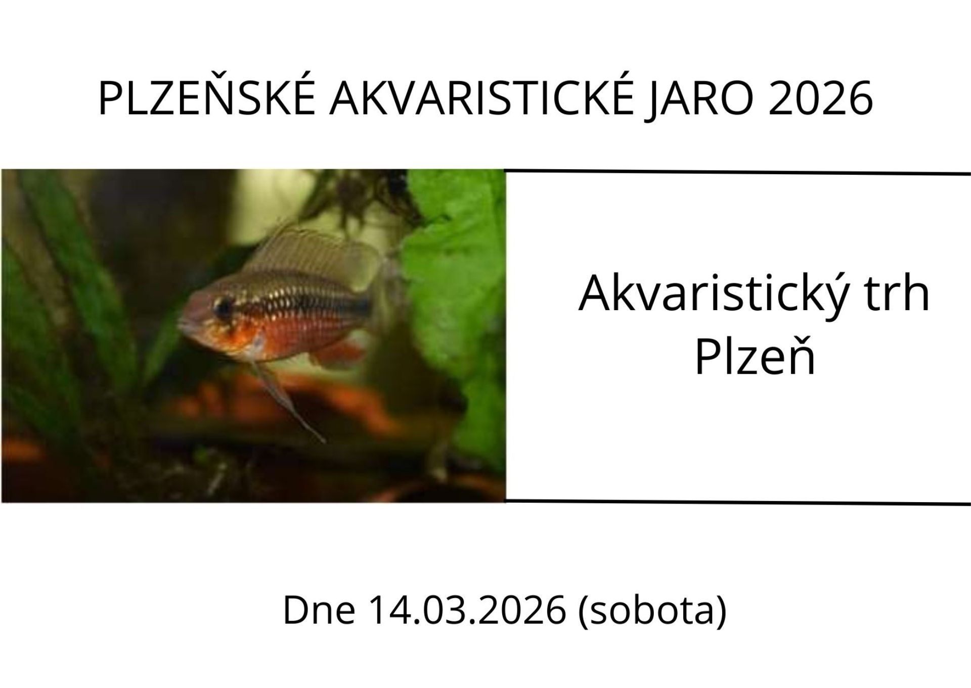 PLZEŇSKÉ AKVARISTICKÉ JARO 2026