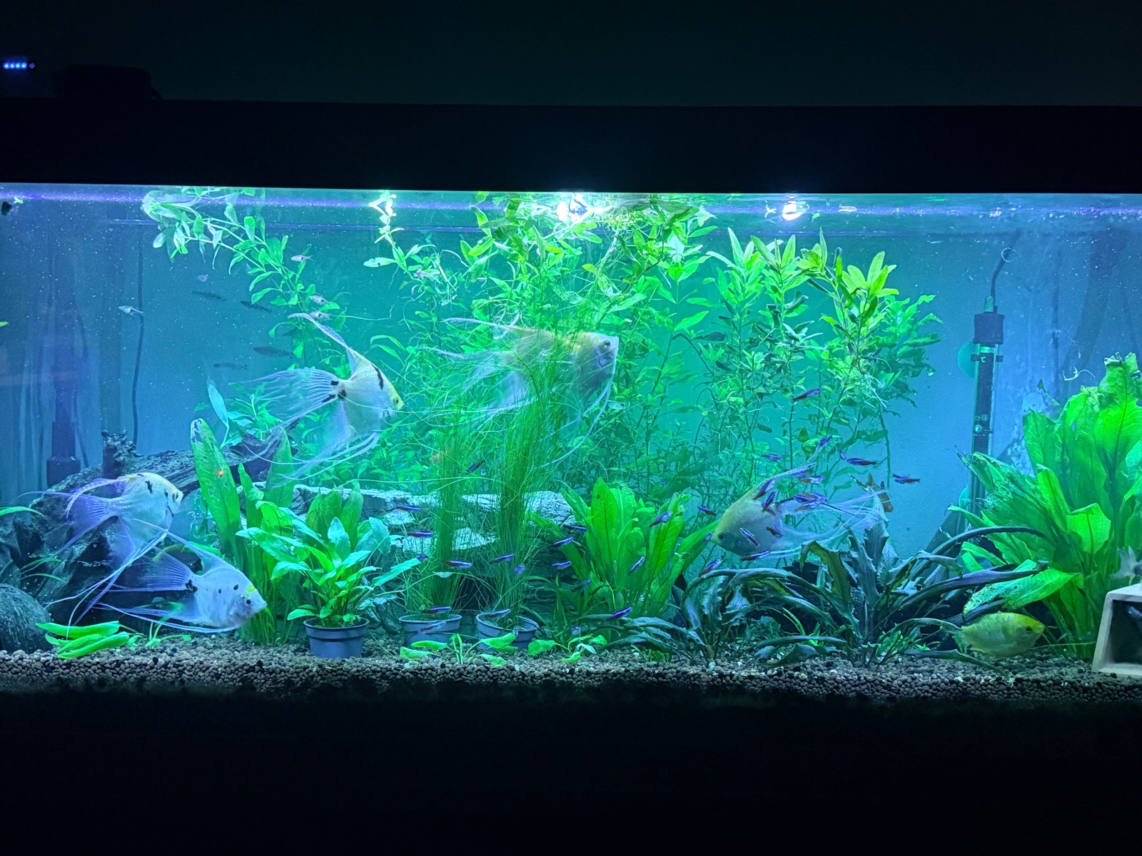 Předělávání 240 L akvaria