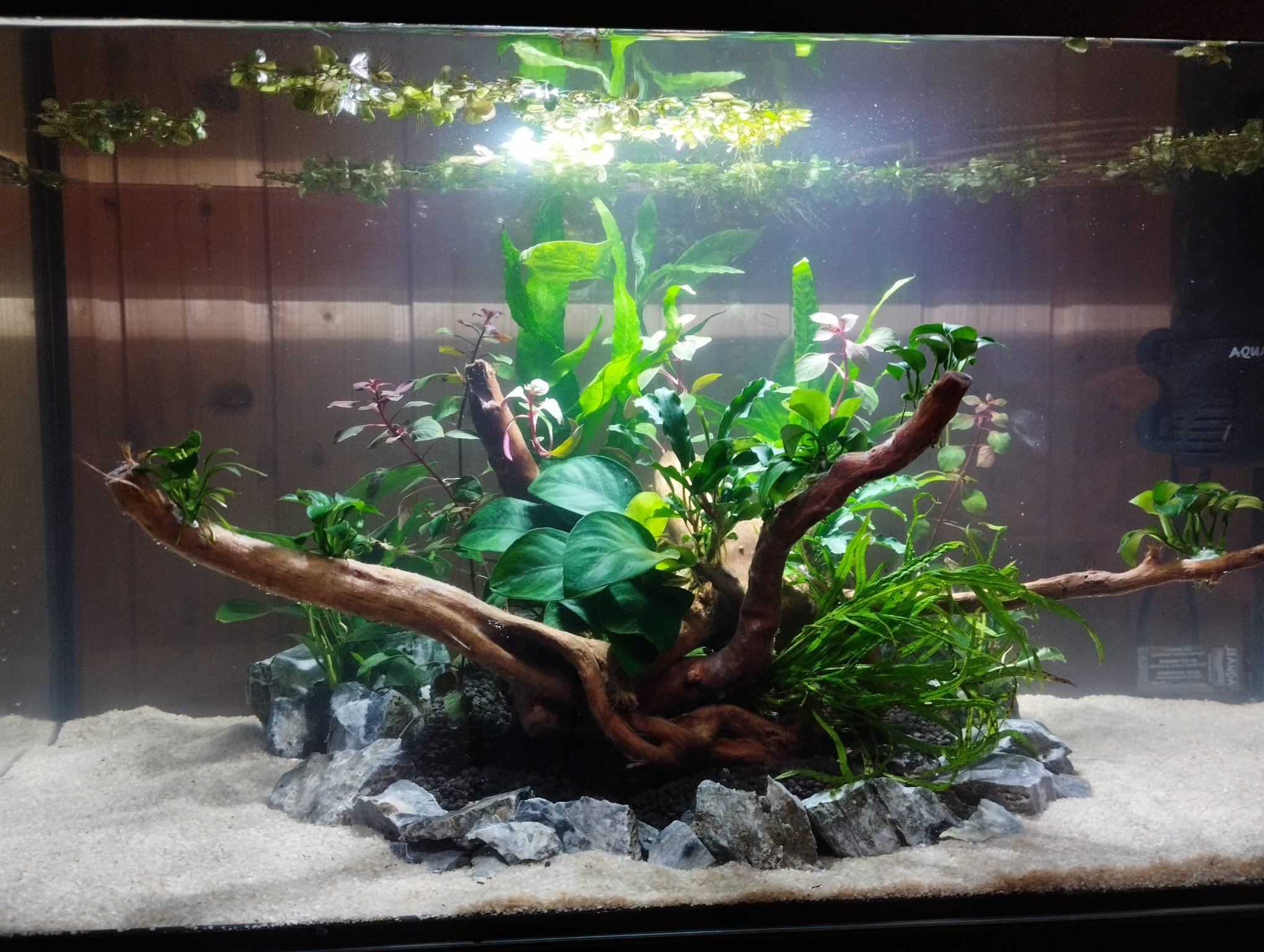 Jeden ostrůvek. (50l)