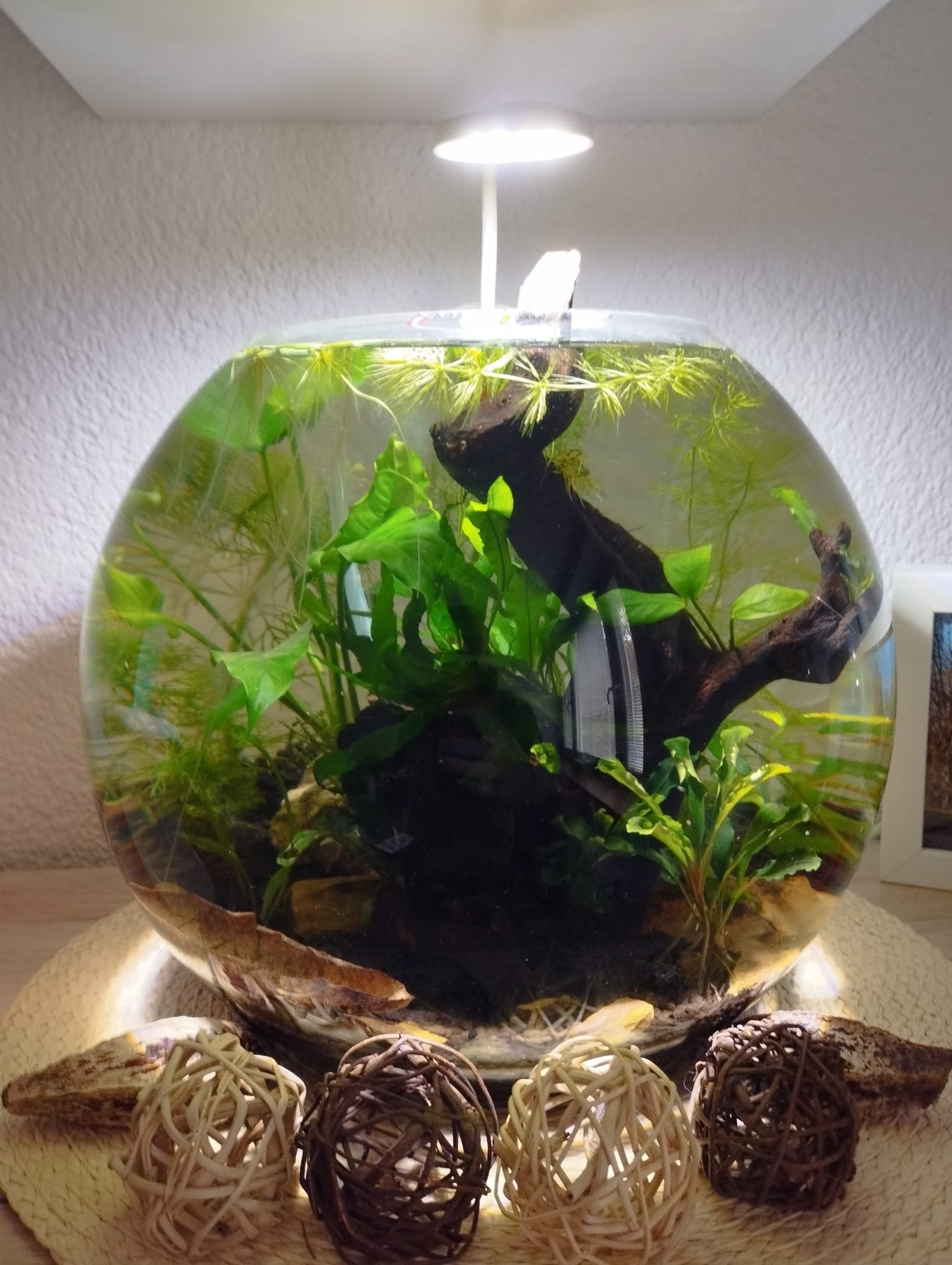 Bez techniky, jen světlo. 