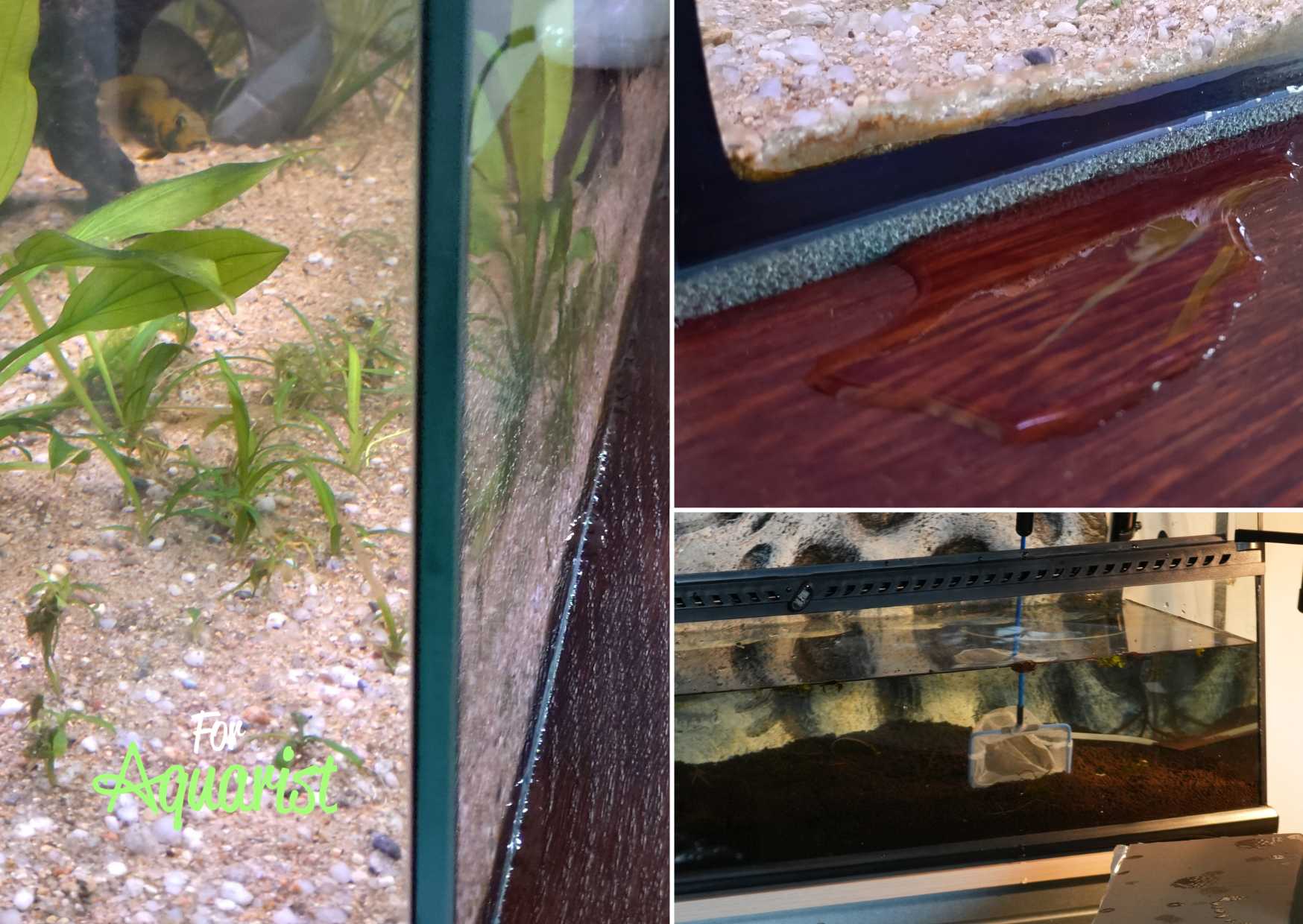 Můj boj s protékajícími nádržemi