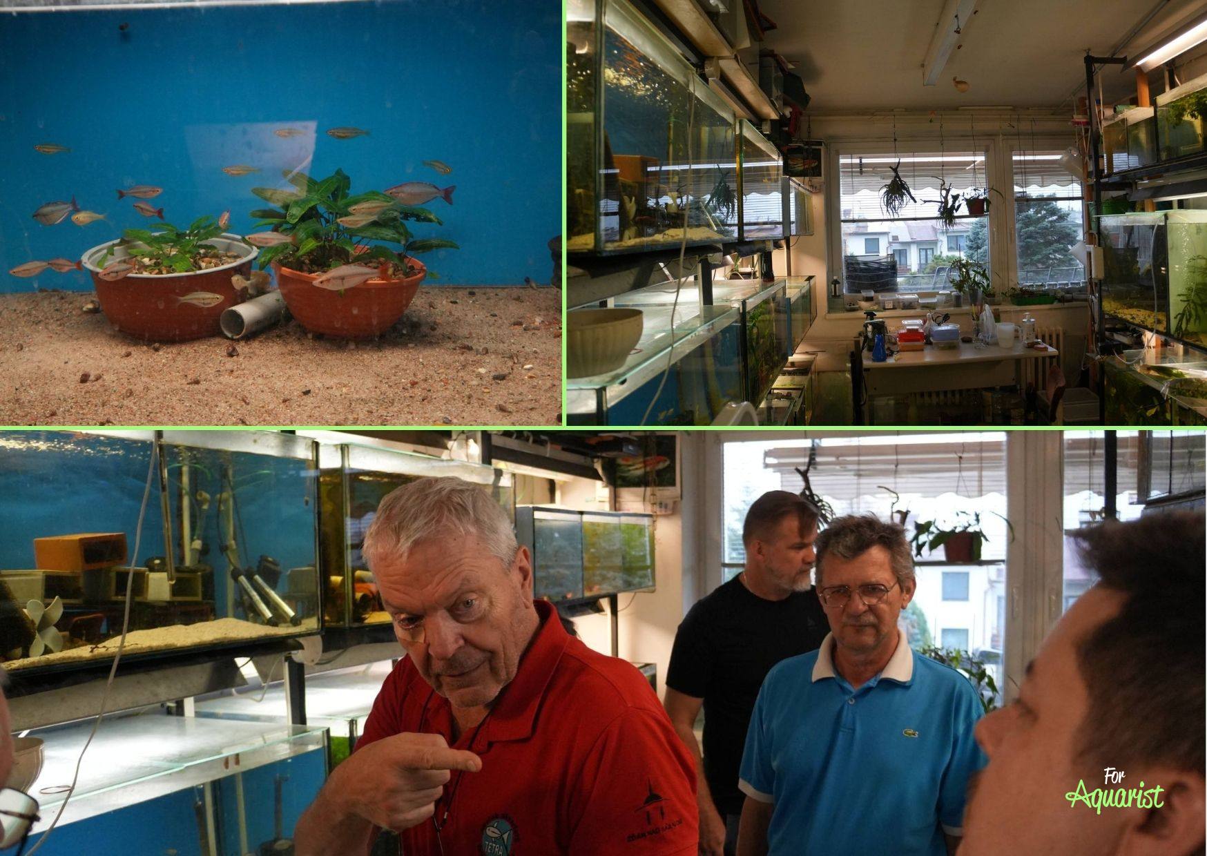 Jarda Dvořák a jeho odchovna