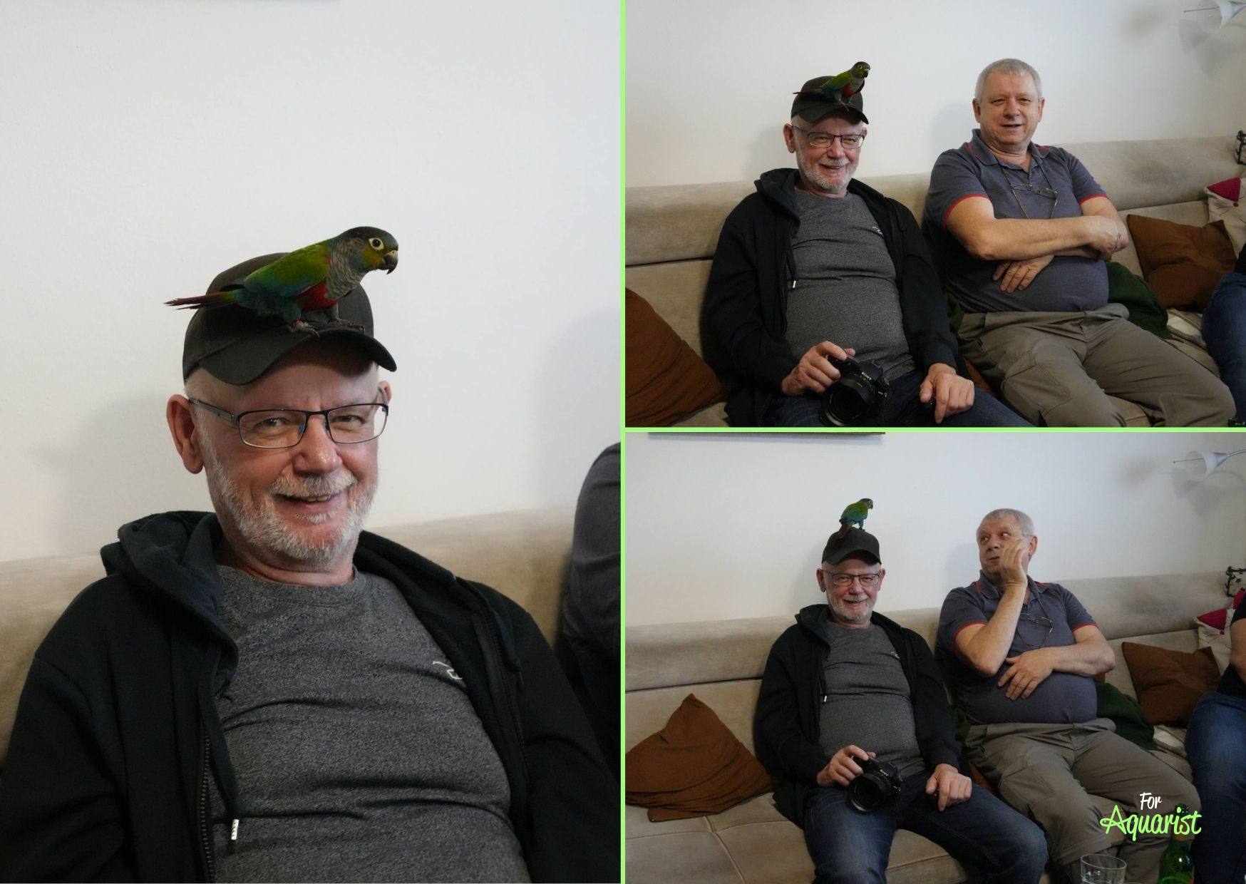 Luděk Zicháček s papouškem Piri (vlevo),  a Jirka Sýkora (vpravo)