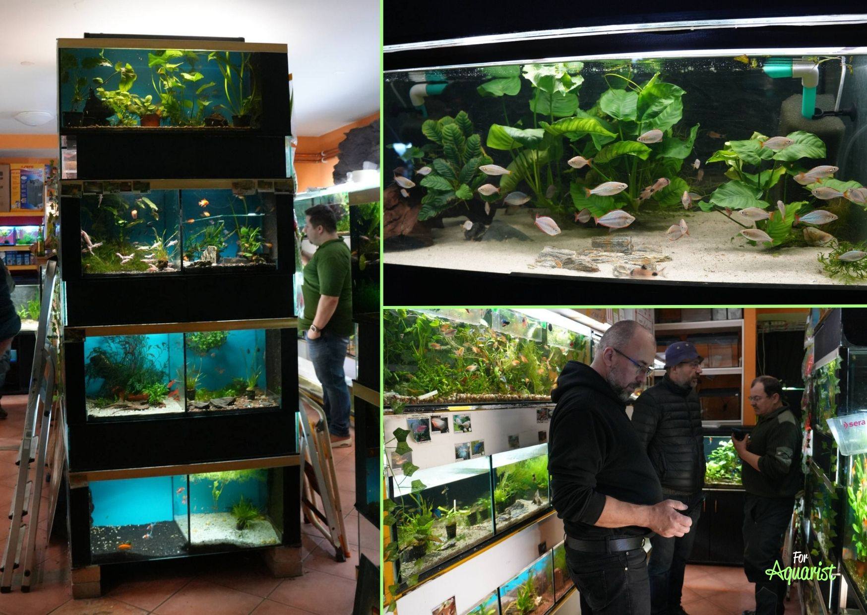 Cherra - místní akvaristický obchod Františka Brabce