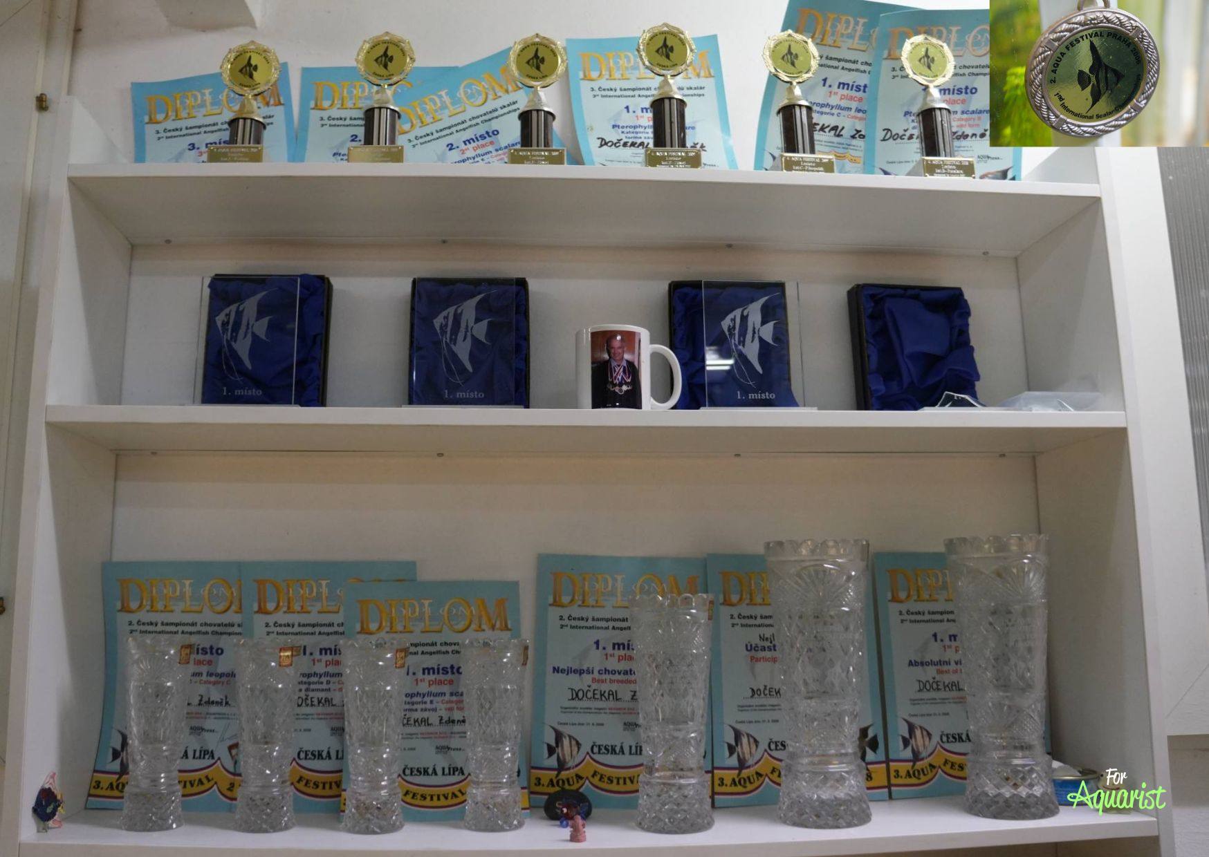 Návštěva odchovny Zdeňka Dočekala a jeho akvaristické ceny