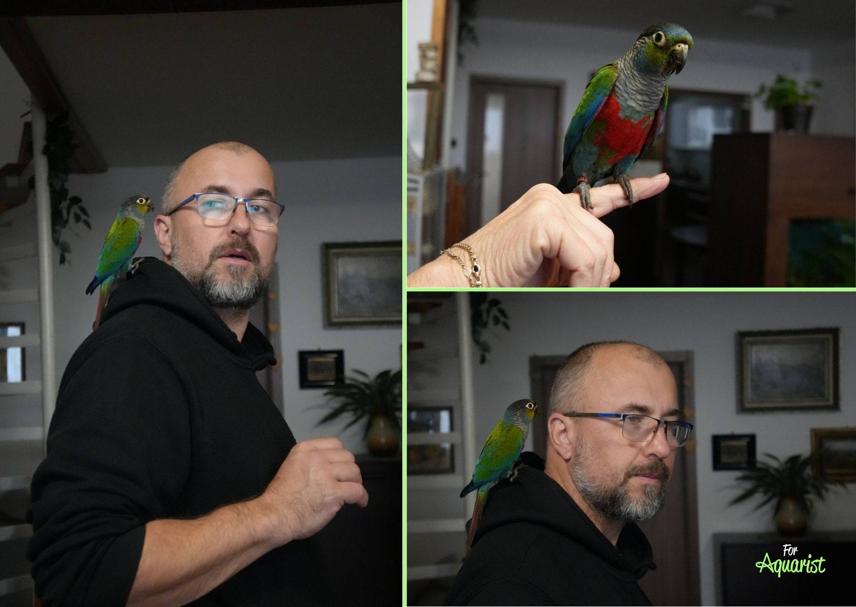 Radek Beneš a papoušek Piri