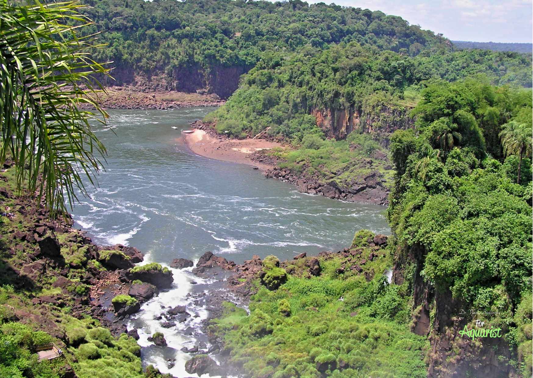 Czyste wody mają pH 4,5-7,8 z widocznością 1-4,5 m. Najbardziej znane są Tapajós, Tocantins i Xingú.