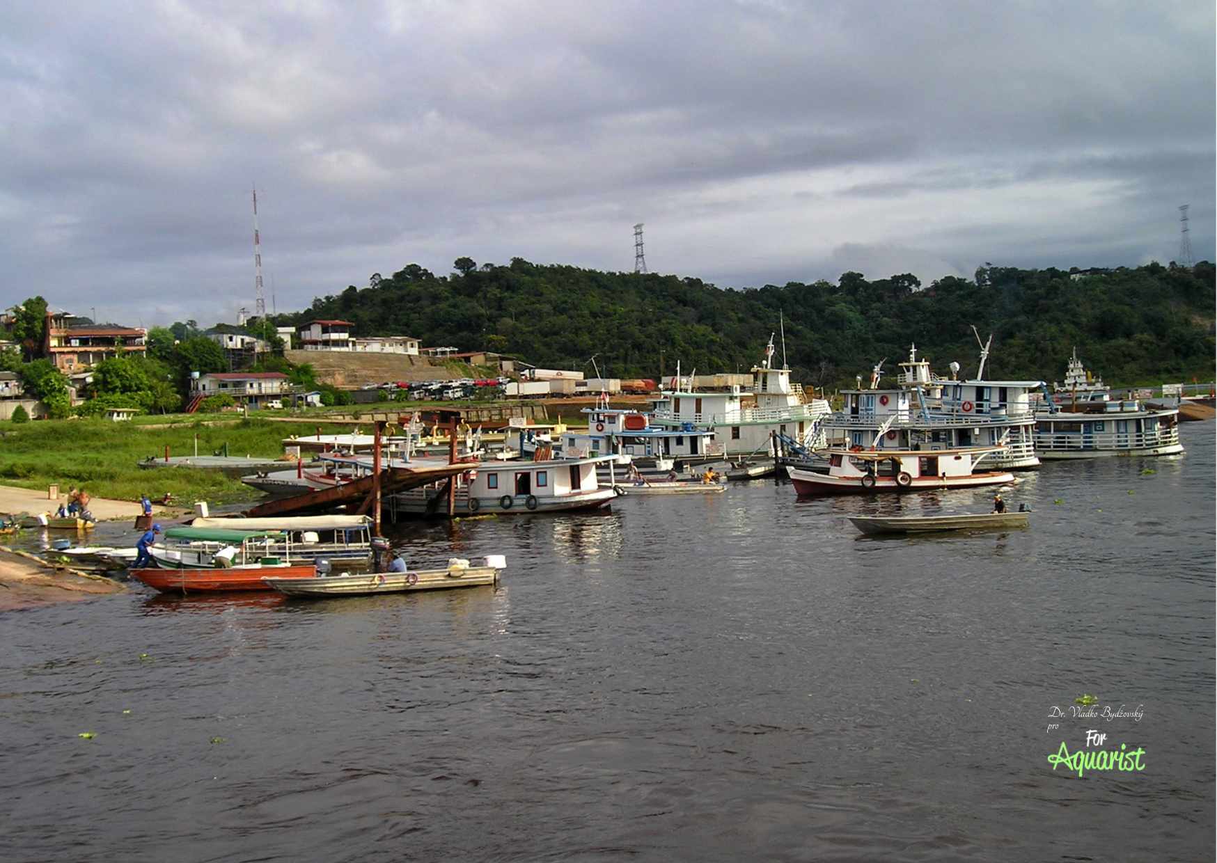 U brzegu Manaus łatwo wynajmiecie łódź nawet z całą rodziną właściciela. Oni was przewiozą, gdzie chcecie.