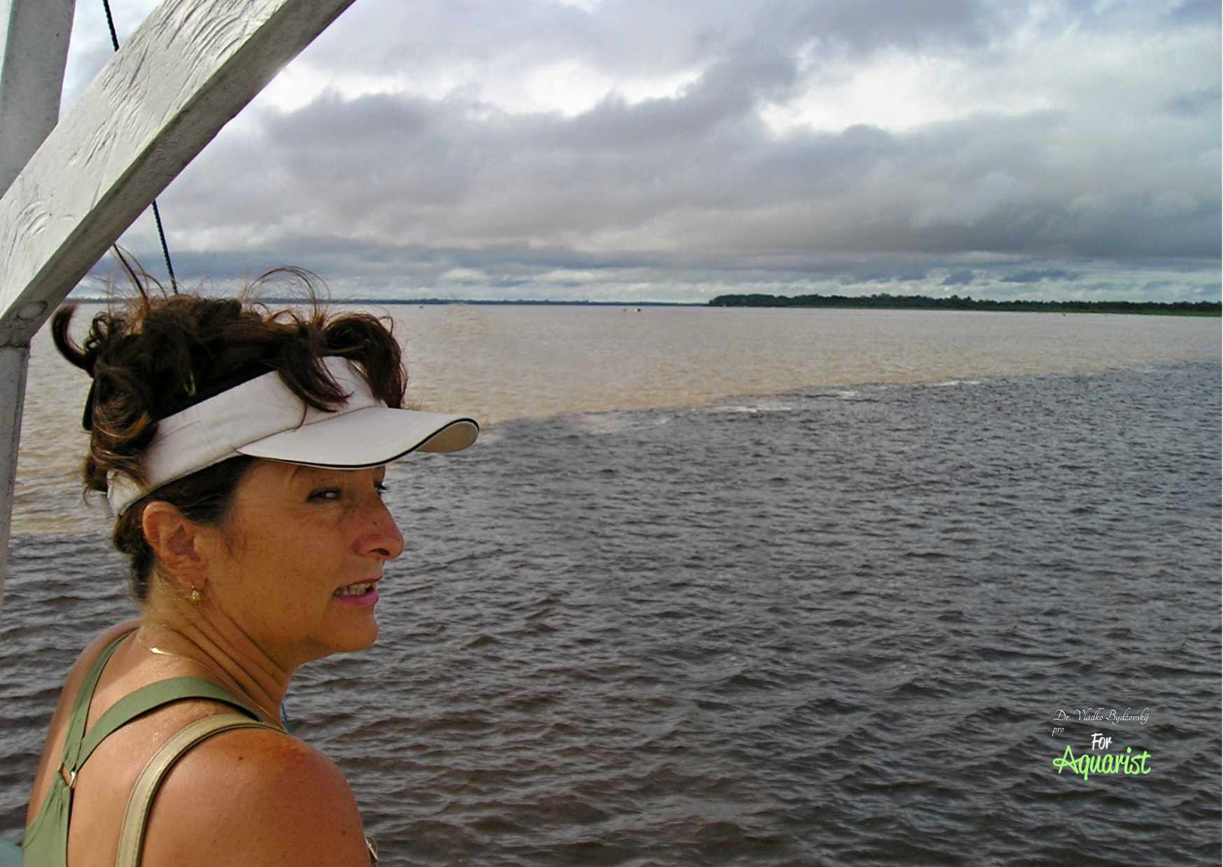 Światowej sławy jest połączenie czarnej rzeki Rio Negro i białej Solimões u Manaus, dalej rzeka nazywa się Amazonka. 