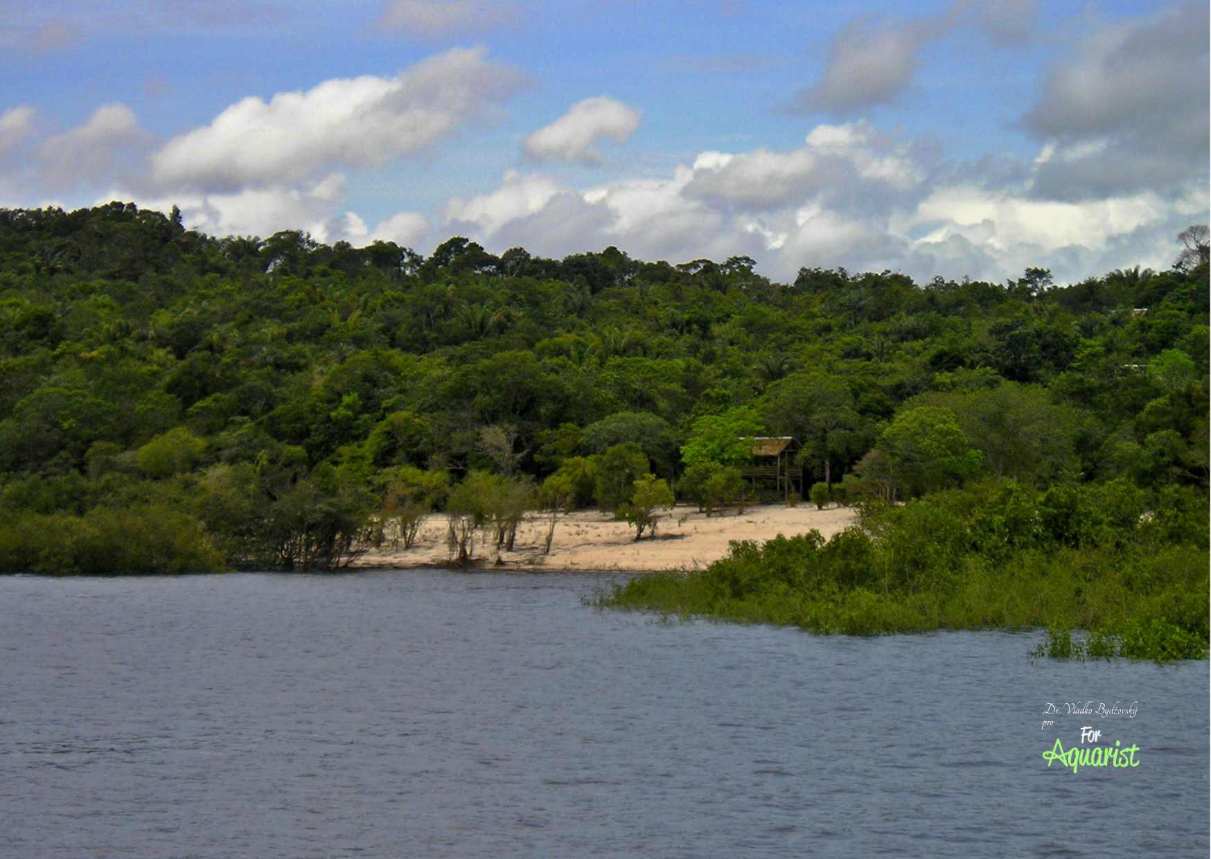 Biała piaszczysta plaża jest typowa dla Rio Negro.
