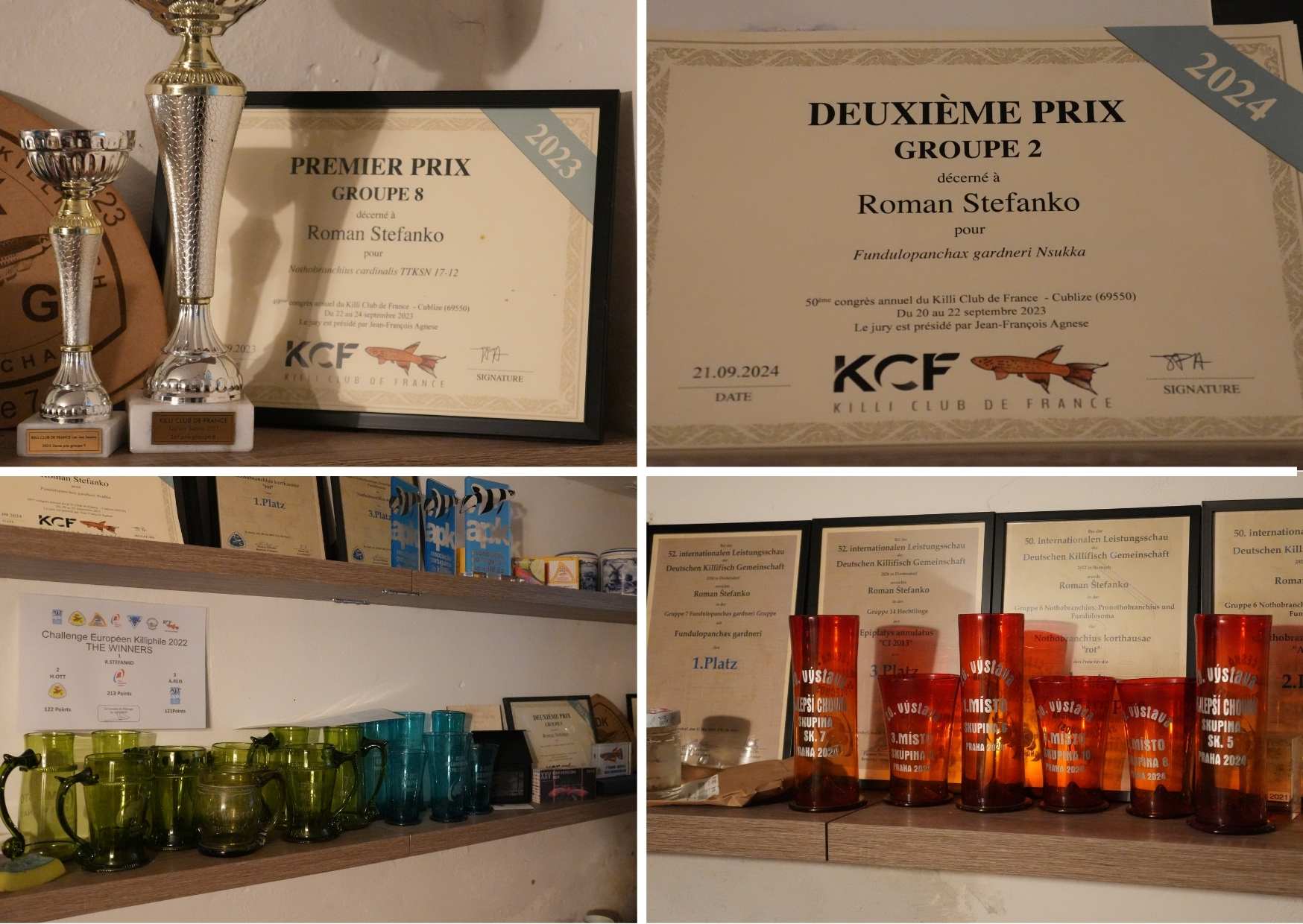 Ocenění se jen těžko vejdou na několik málo fotek