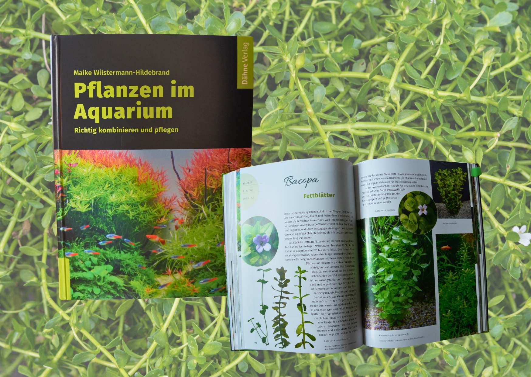 Objevte tajemství prosperujícího akvária: Kniha Maike Wilstermann-Hildebrand jako váš průvodce světem vodních rostlin
