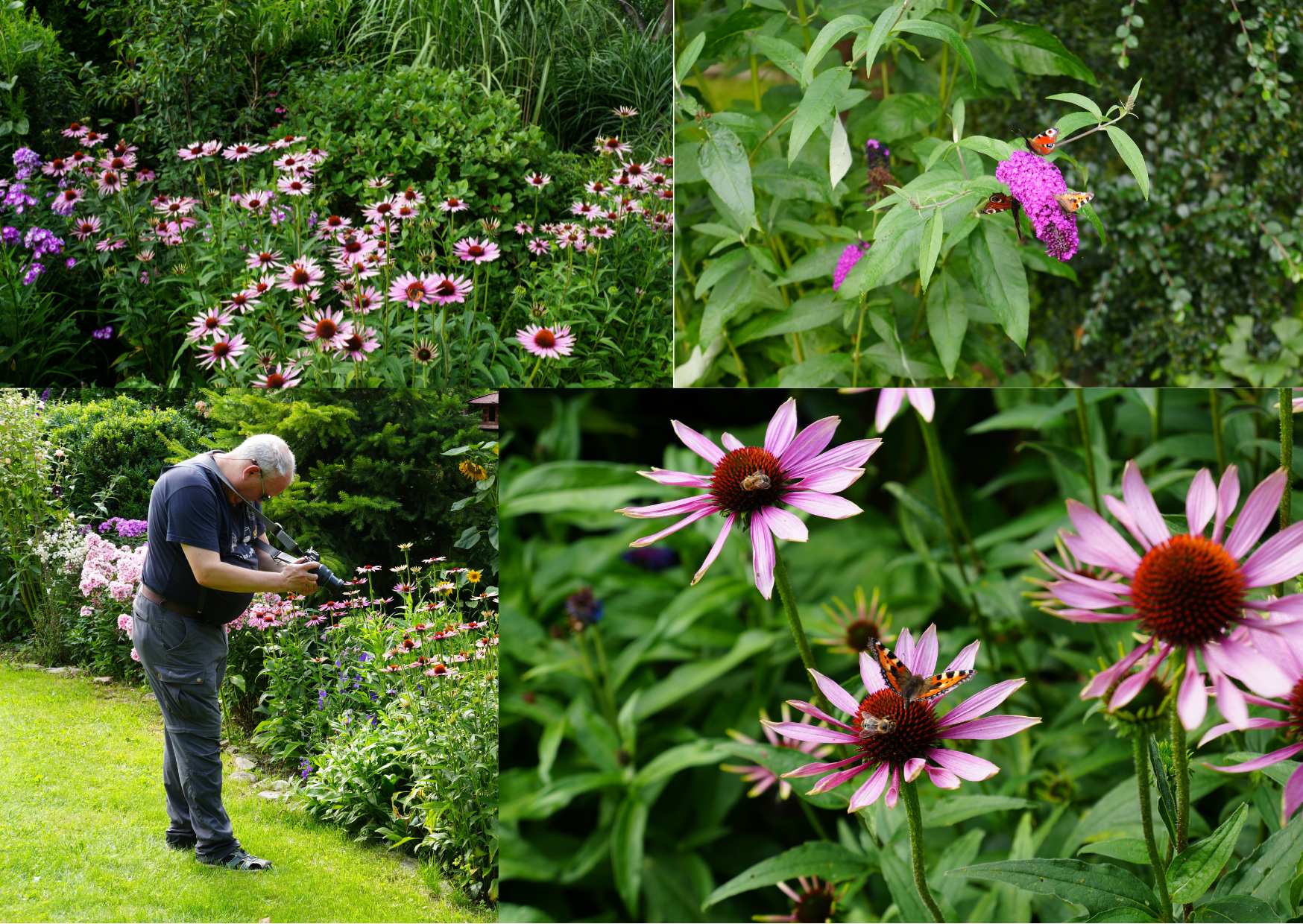 Zahrádka paní domácí byla jedním slovem nádherná a tak jsem si ji fotila nejen já