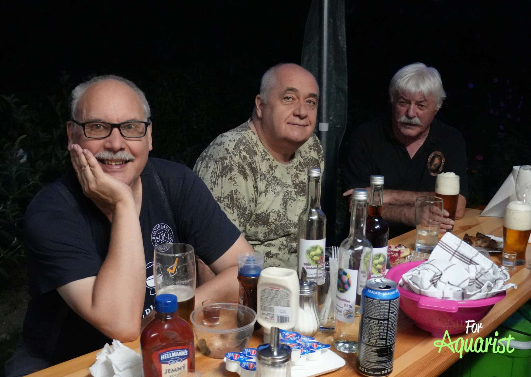 Martin Hauskrecht, Anton Rychtárik, Slávek Boudný