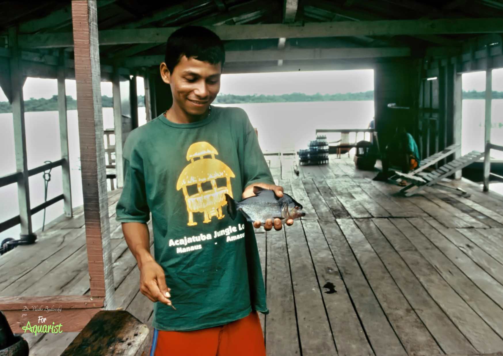 Děti domorodců se snaží nabízet různé své úlovky, nejčastěji piraně.