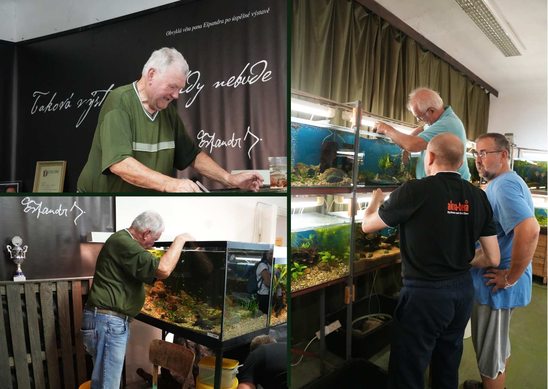 Ostatni dzień wystawy 2024 i odłowienie wystawianych ryb