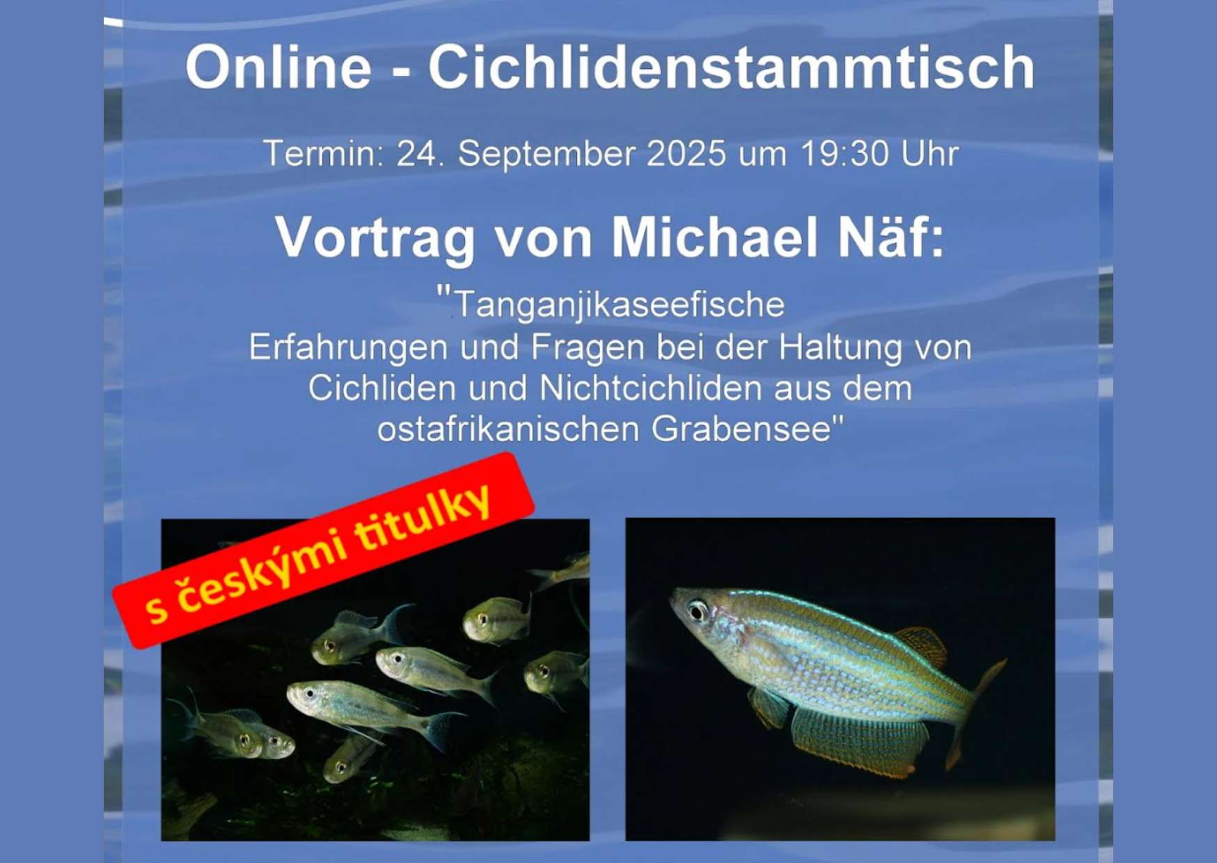 Ryby z jezera Tanganika – skúsenosti a otázky pri chove