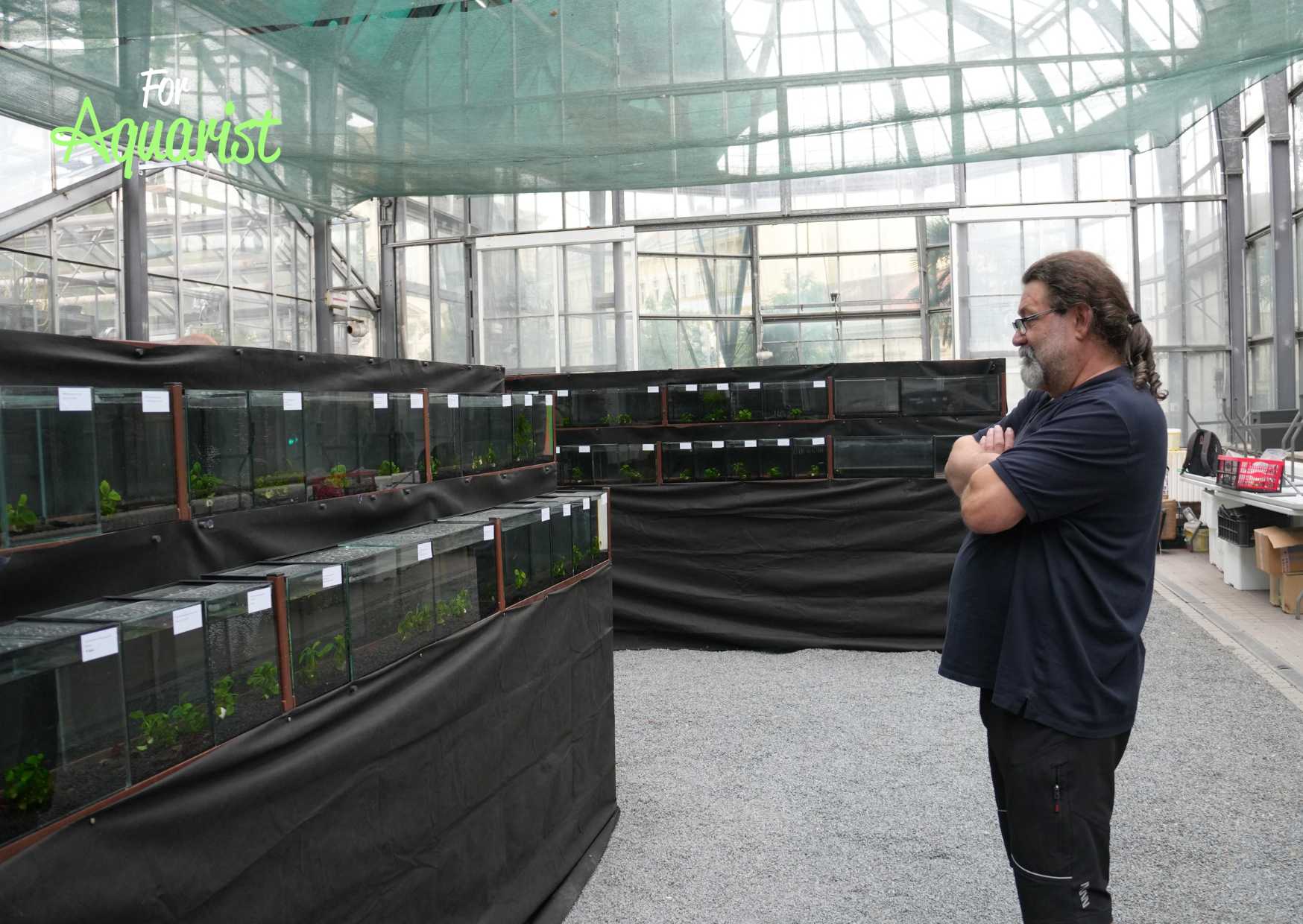 Roman Štefanko - Asesor