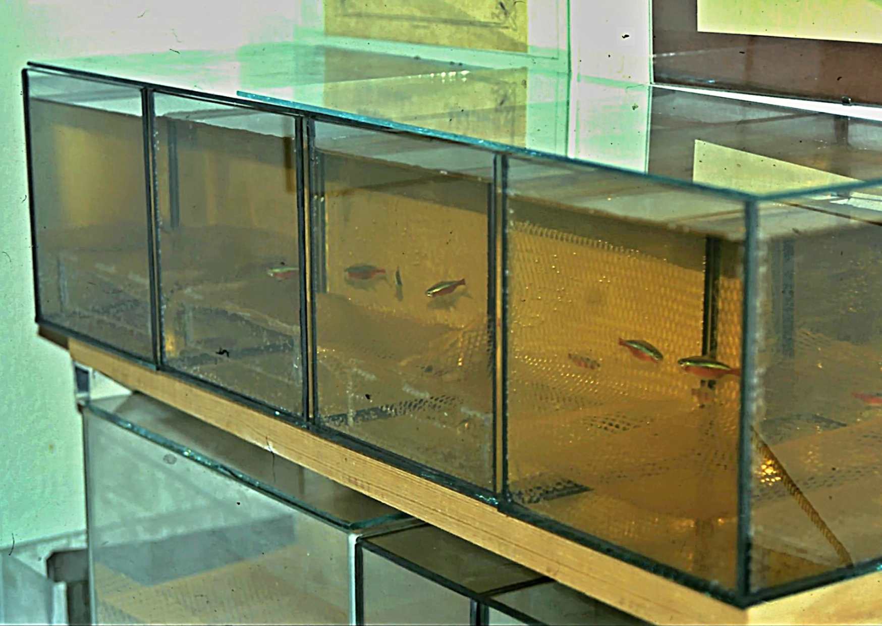 5.	Běžné 5litrové vytíračky, jaké používá autor.