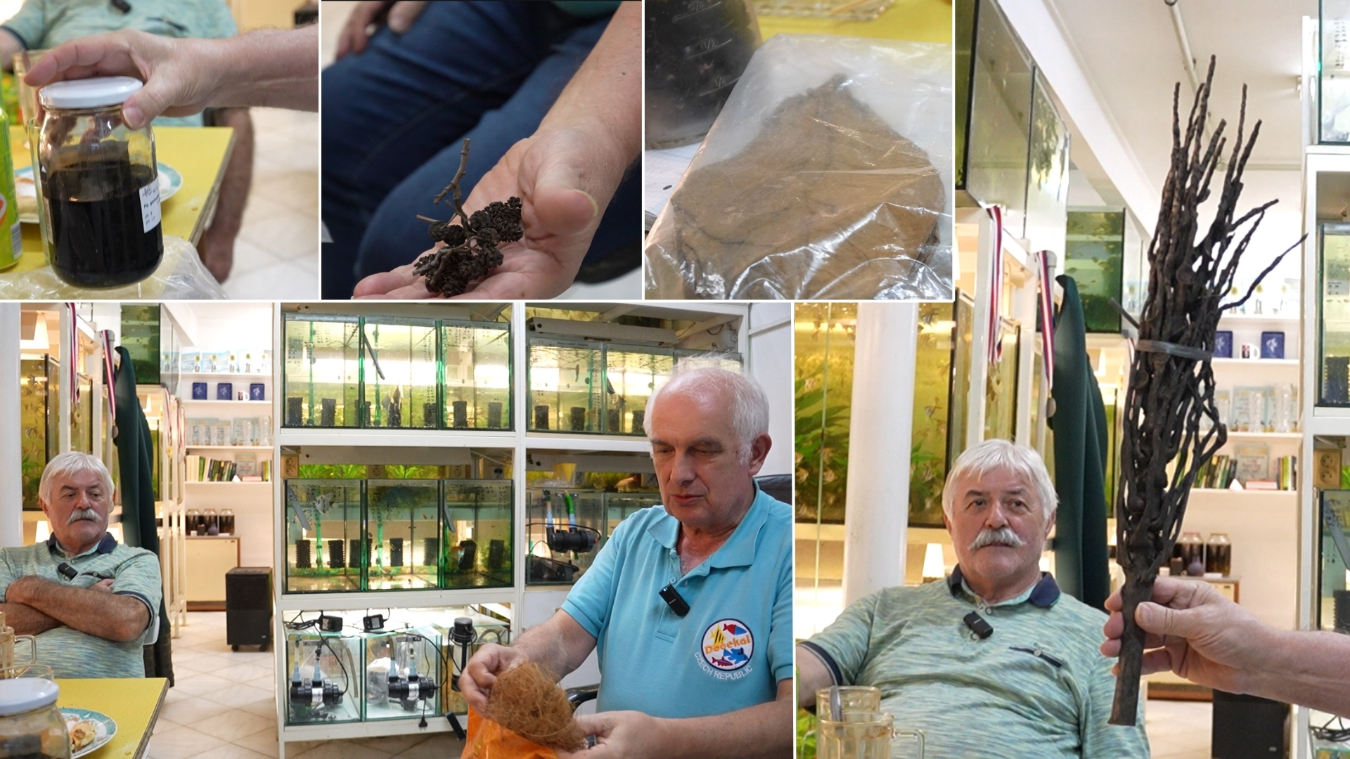 Rozmowy nad powierzchnią: naturalne sztuczki w akwarium z SLávkiem Boudným i Zdeňkiem Dočekalem