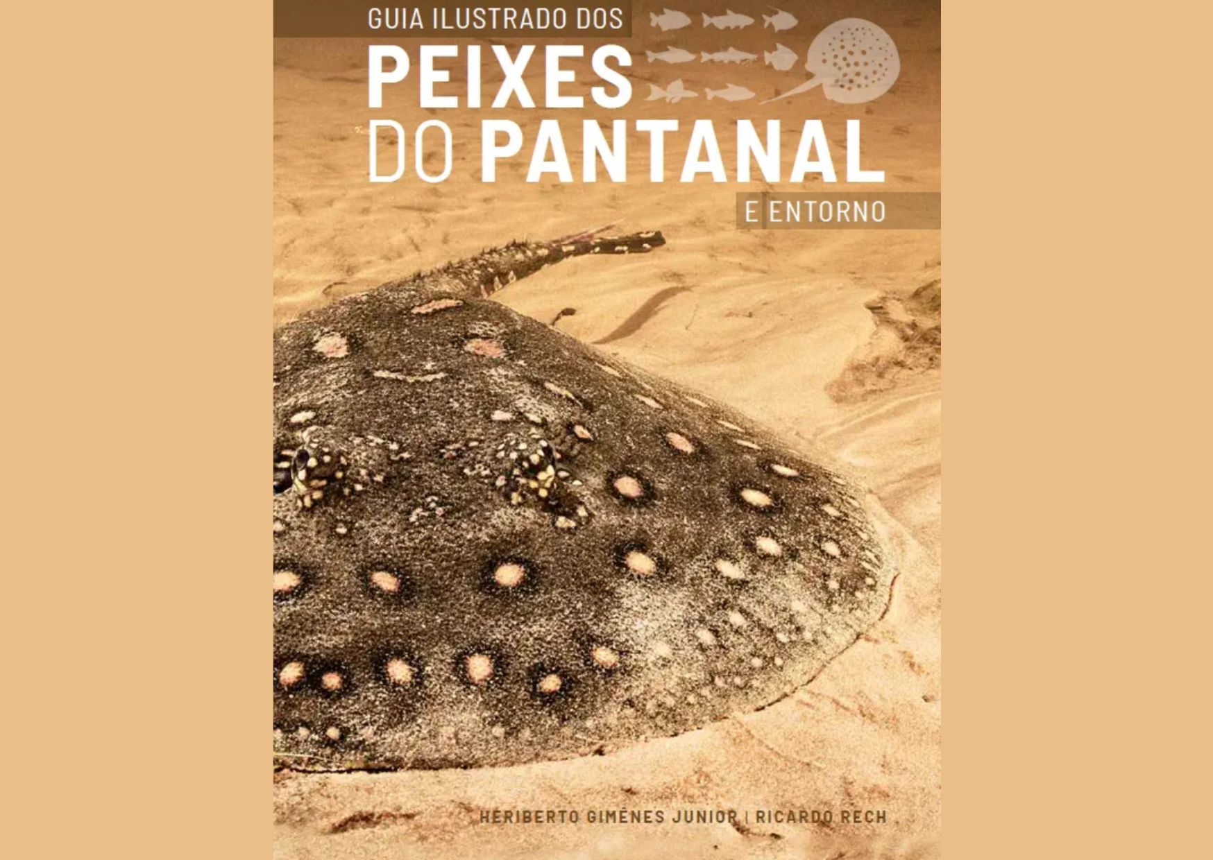 "Peixes do Pantanal" - Kniha/PDF o rybím světě Pantanalu v Brazílii - zdarma