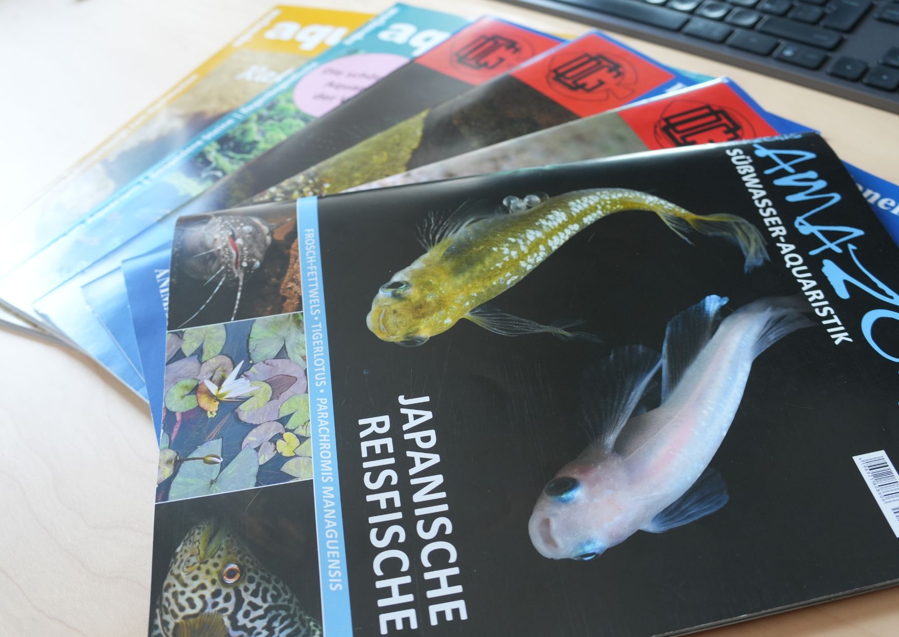 🐟 To nejlepší z akvaristického tisku (1. čtvrtletí 2026)