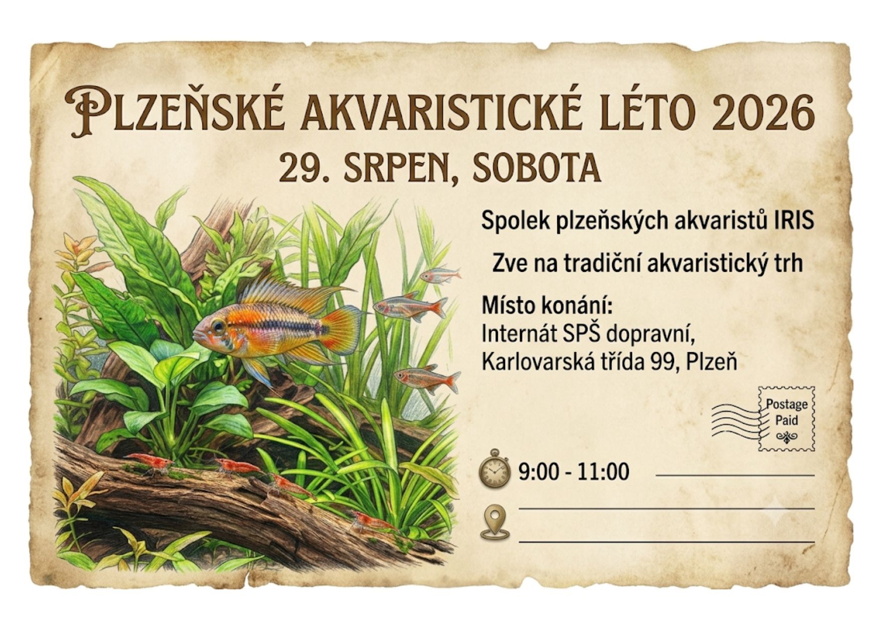 🐟 Plzeňské akvaristické léto 2026: Trh s tradicí druhého nejstaršího spolku u nás