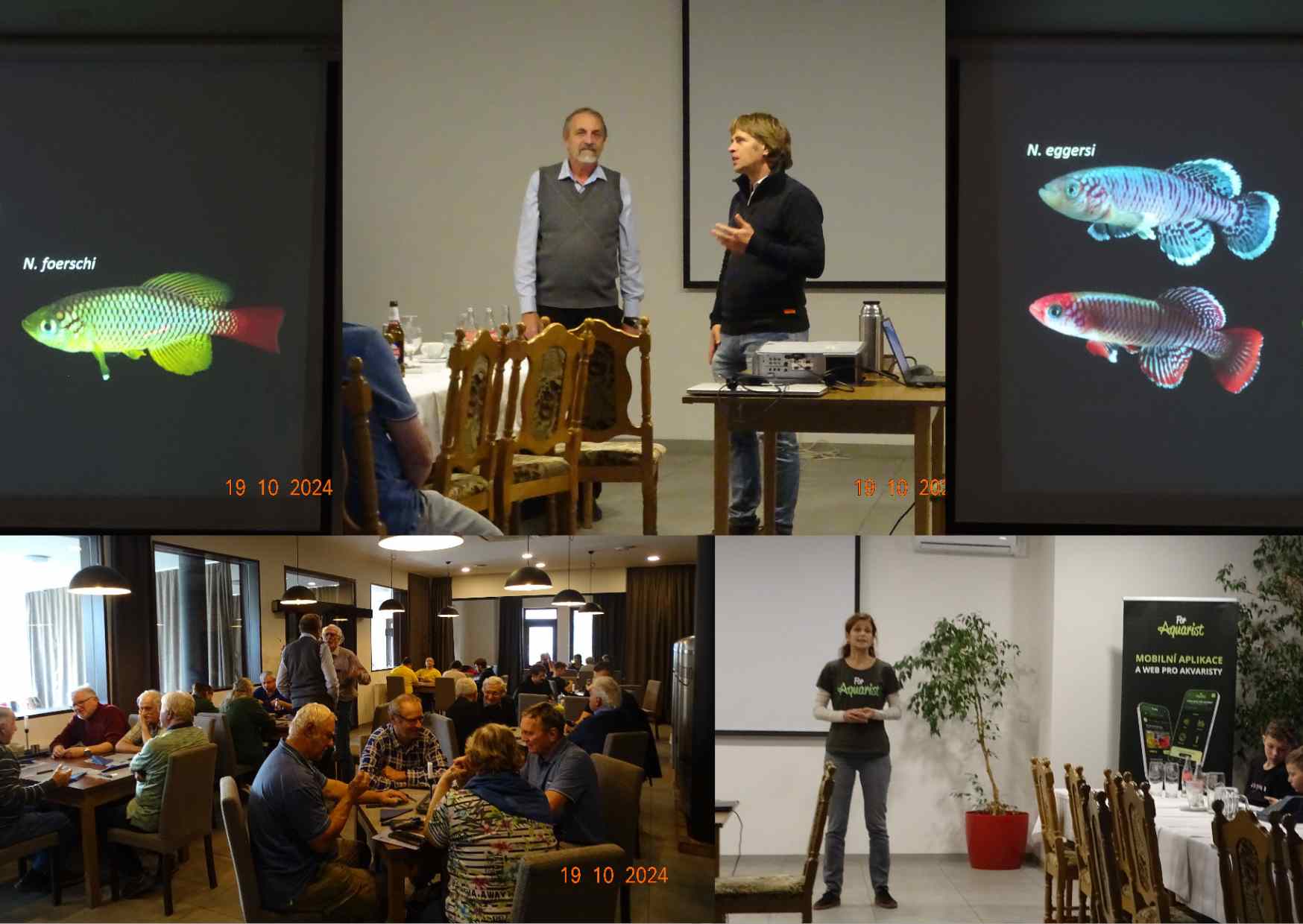 Anuální halančíci (Annual killifish),(seasonal killifish) - Za anuálními halančíky do Afriky