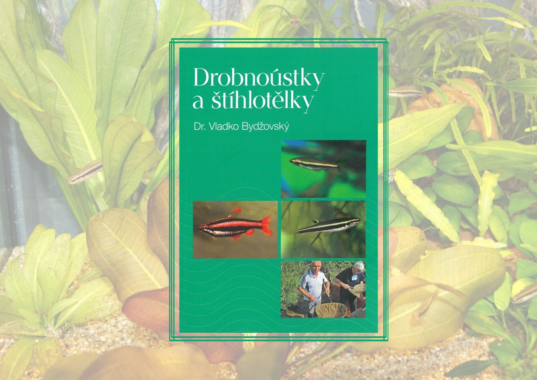 Nová kniha od Dr. Vladka Bydžovského: Drobnoústky a štíhlotělky