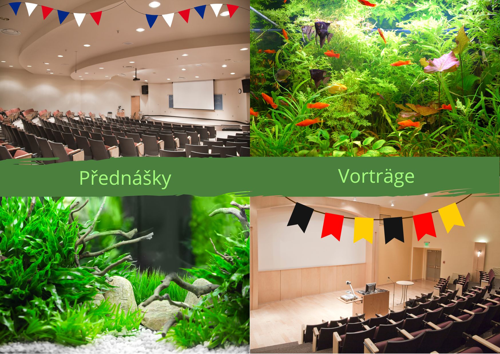 Když nestačí knihy: Cesta k mezinárodní akvaristické komunitě