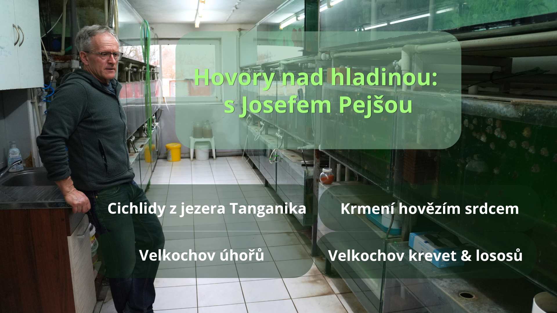 Hovory nad hladinou: O tlamovcích z Malawi, domácích masových směsích a lososech „koupajících se“ v antibioticích