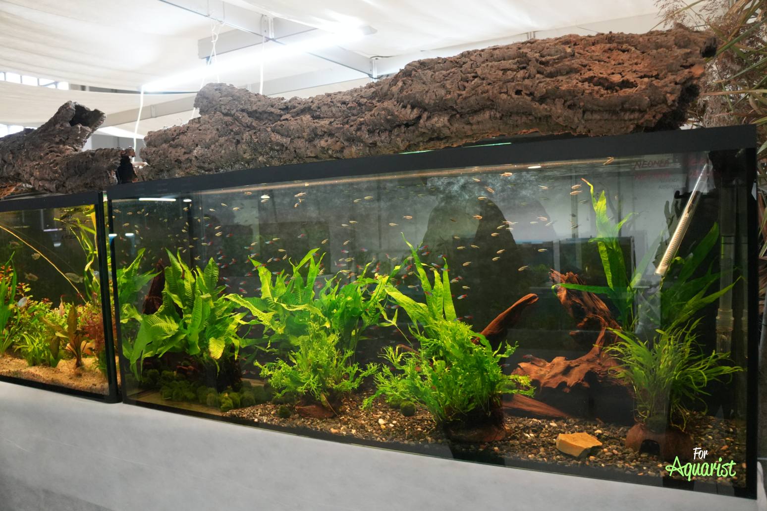 Nádrže aranžované pánom Hořánkom