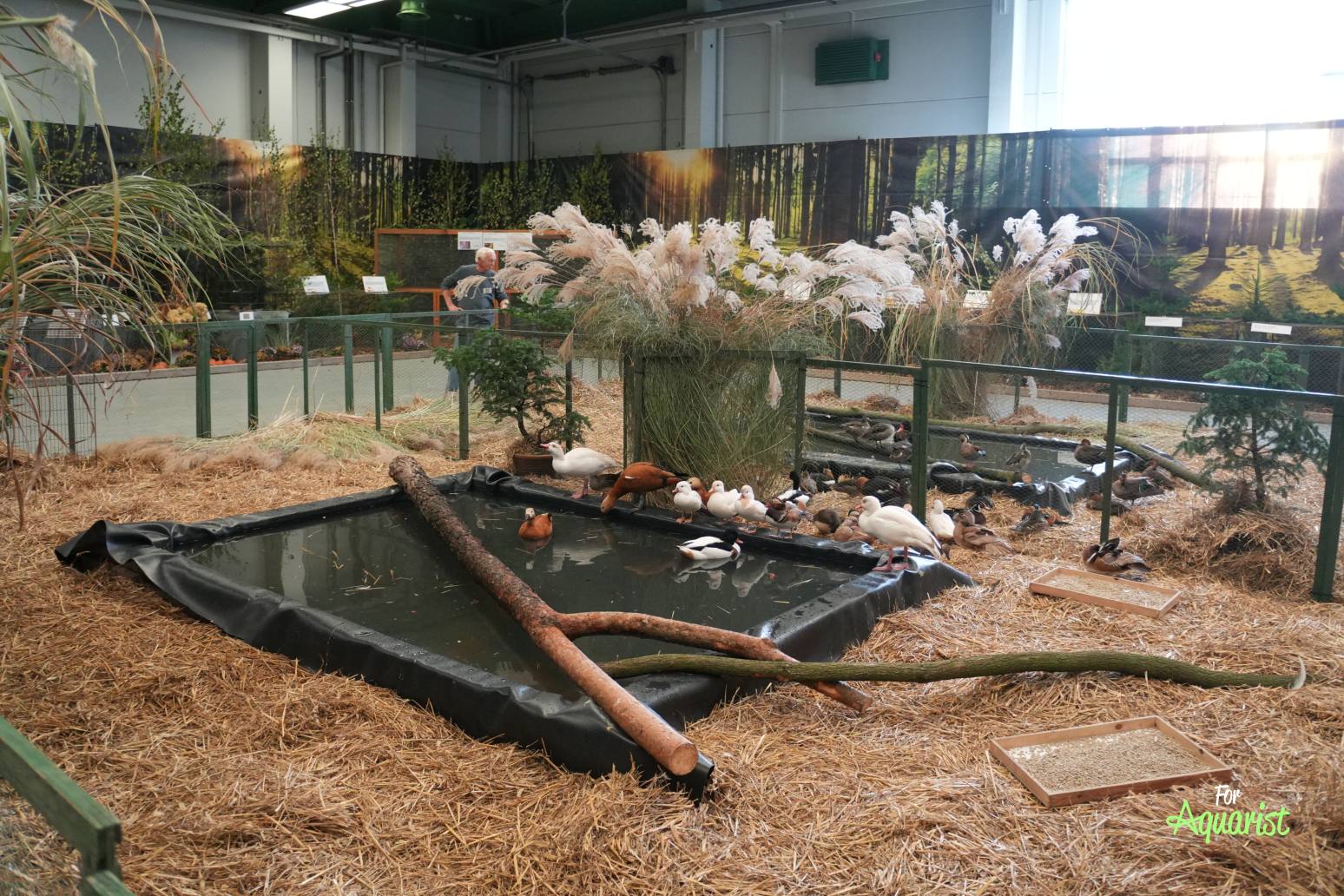 V "akvarijnom pavilóne" boli aj ďalšie expozície