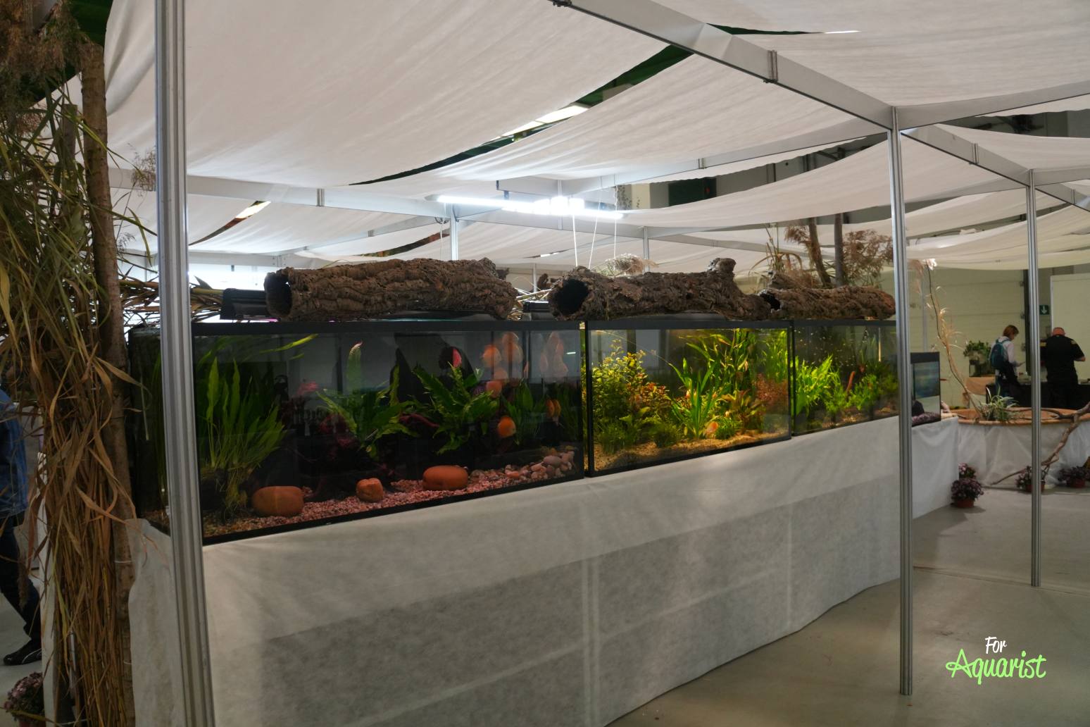 Nádrže aranžované pánom Hořánkom