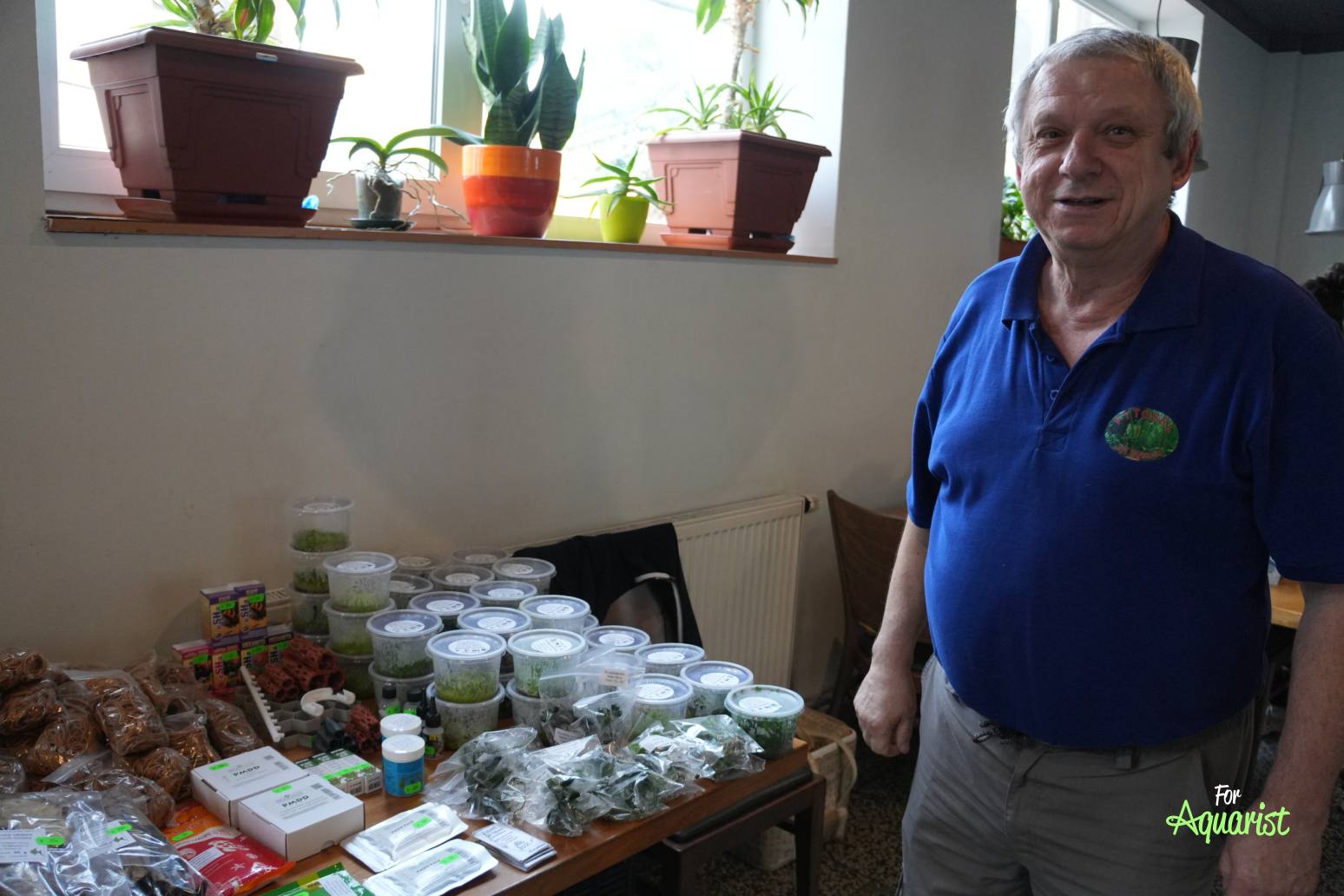 Cyperus: Juraj Sýkora