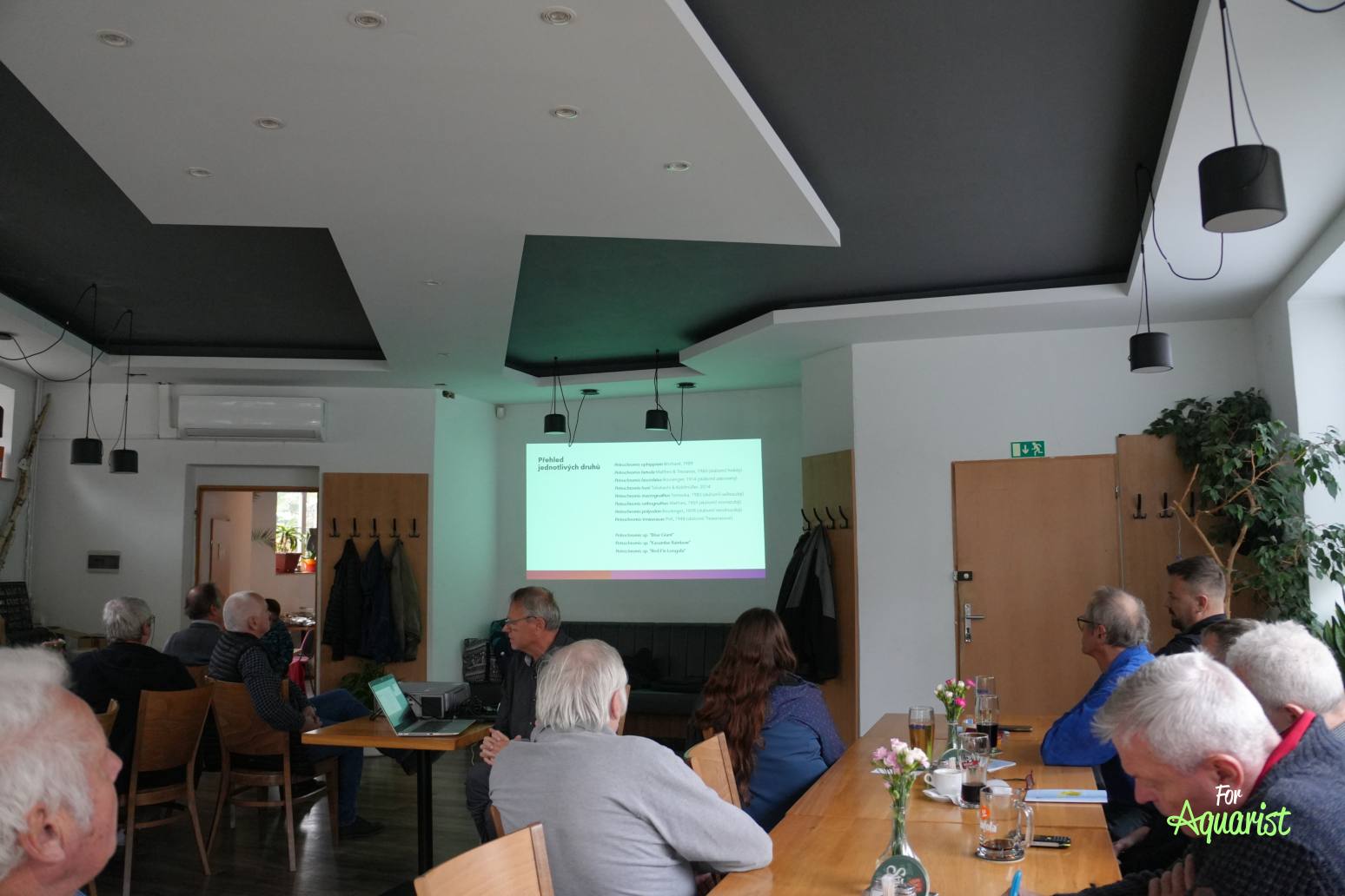 Cyperus: prednáškové popoludnie