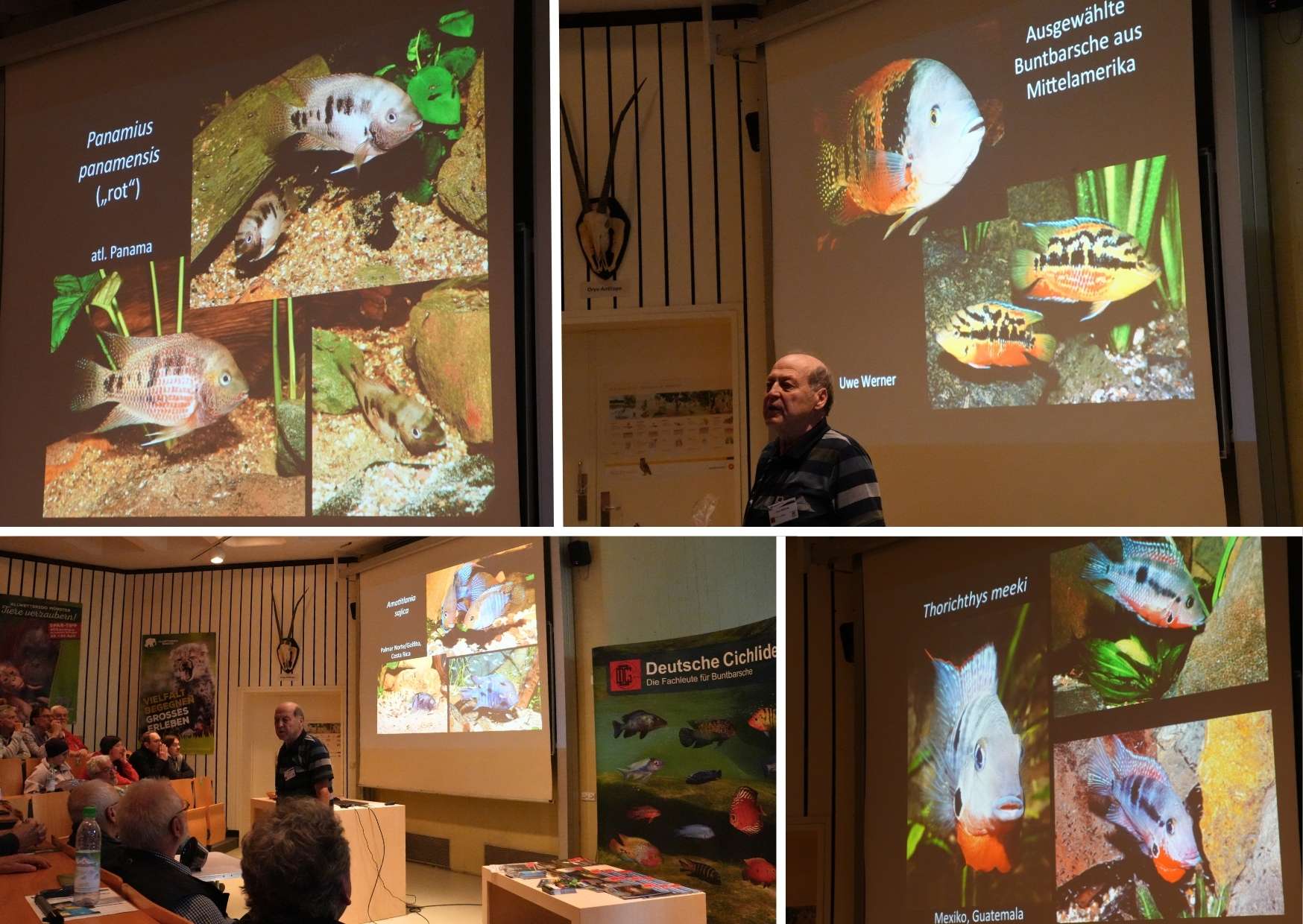 Uwe Werner připravil bohatou přednášku na cichlidy ze Střední Ameriky