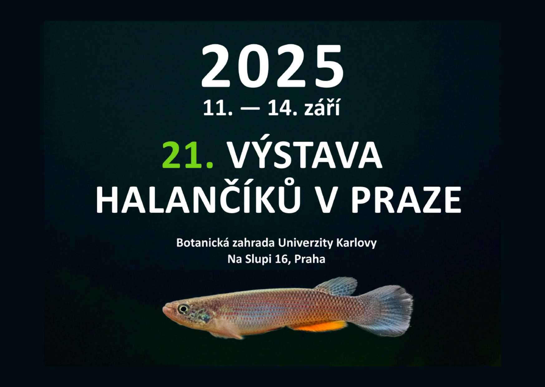 Halančíci dobývají Prahu: Mezinárodní výstava a burza od 11. do 14. září 2025!