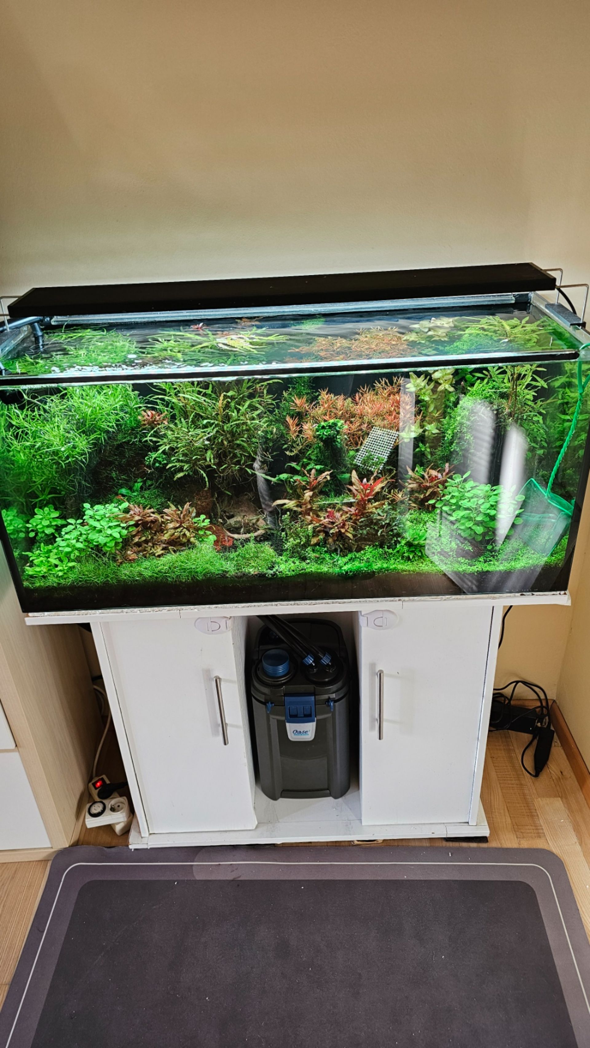 Prodám komplet akvárium 180l 