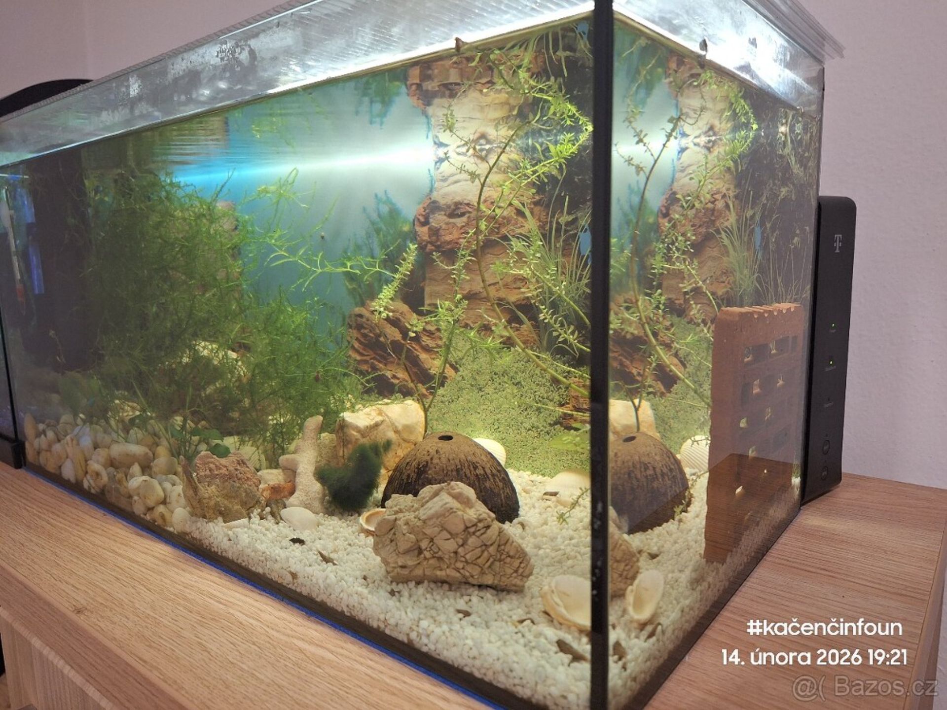 Akvárko • 60×30×30 cm