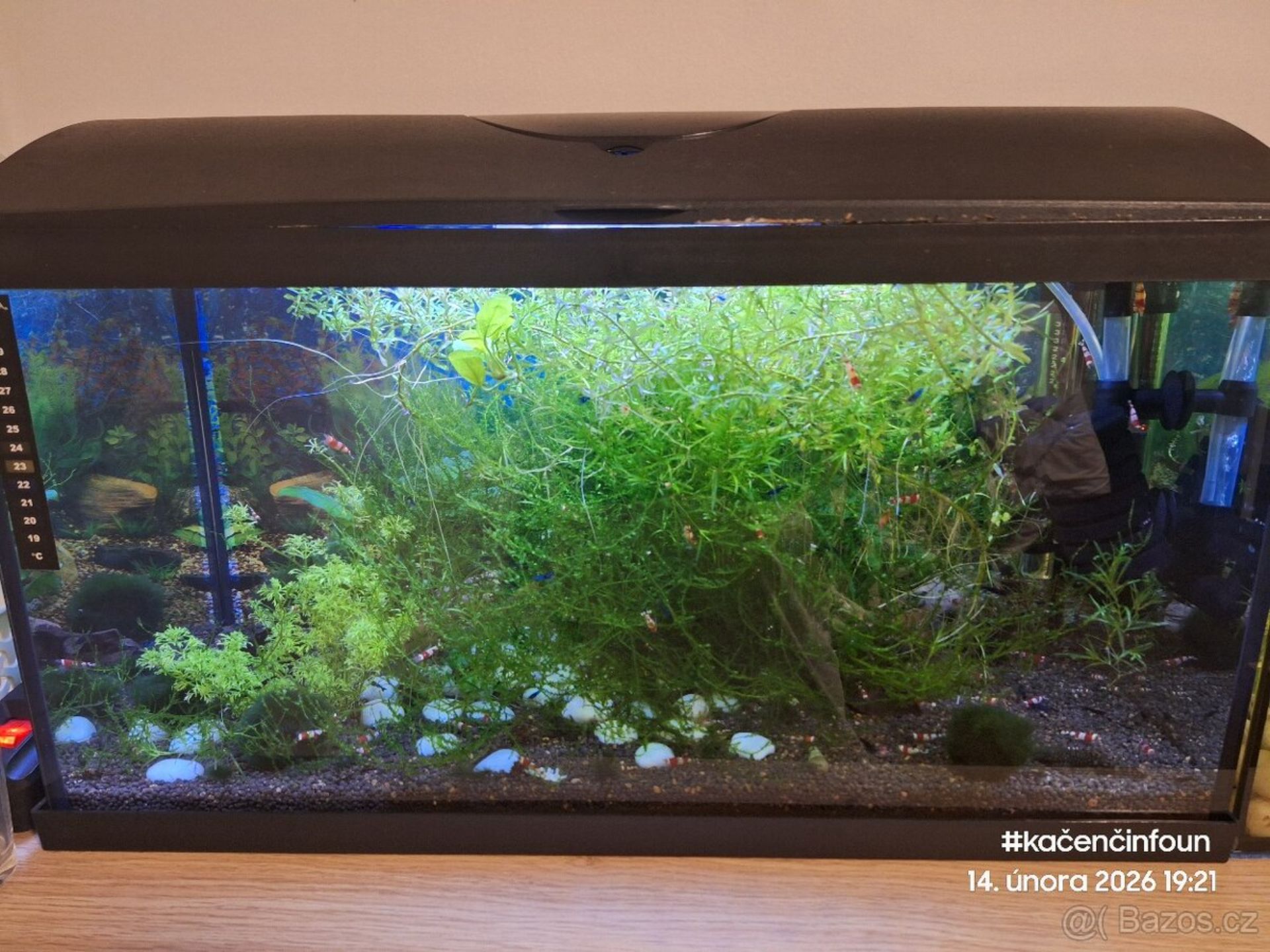 Akvárko • 60×30×30 cm