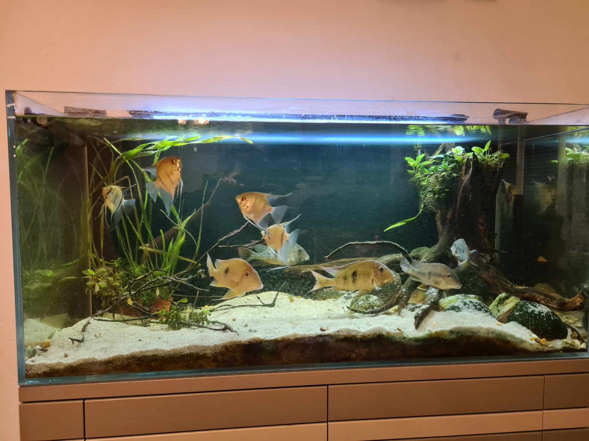 Akvárium 260l 1115x515x515mm