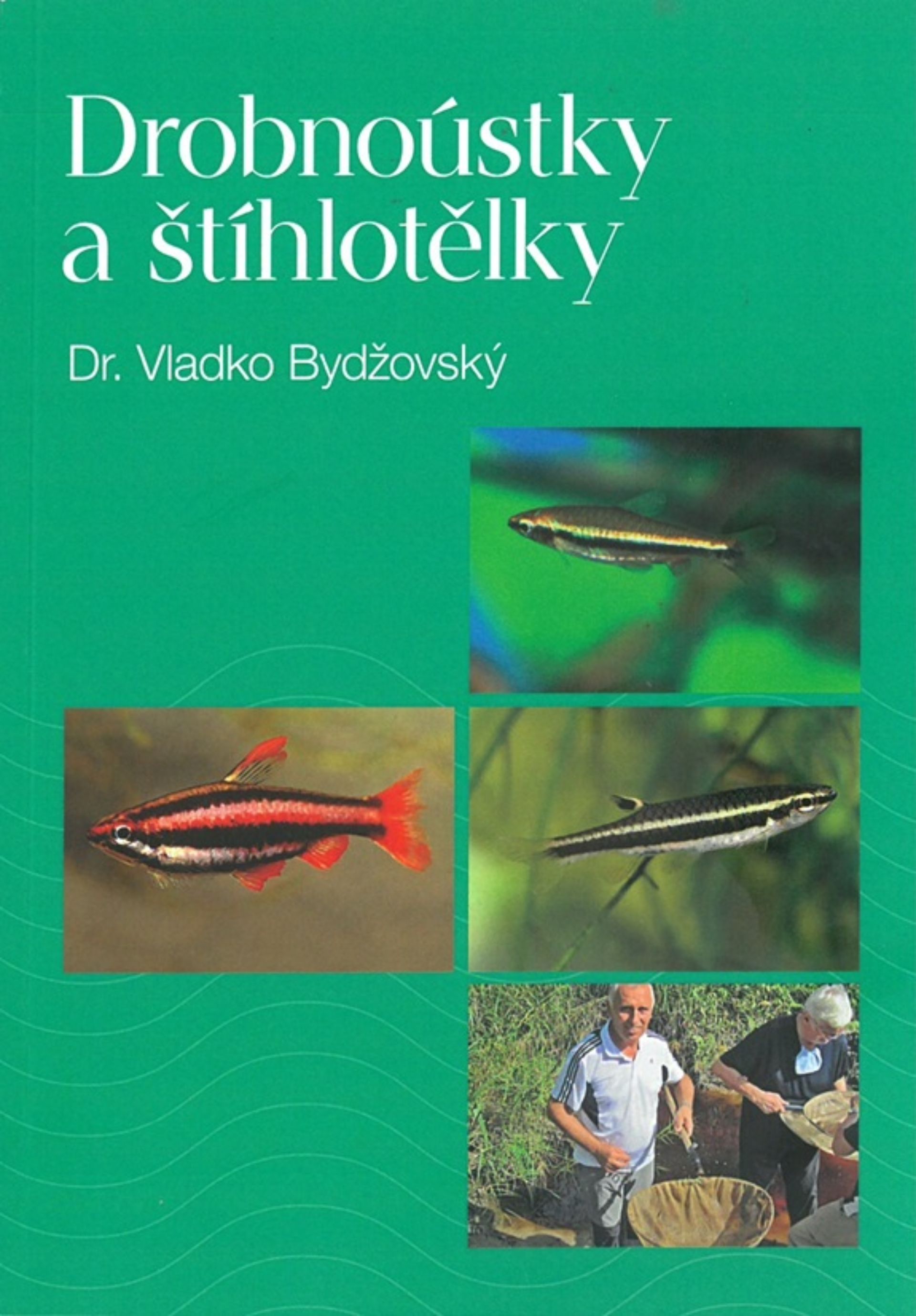 Drobnoústky a štíhlotělky