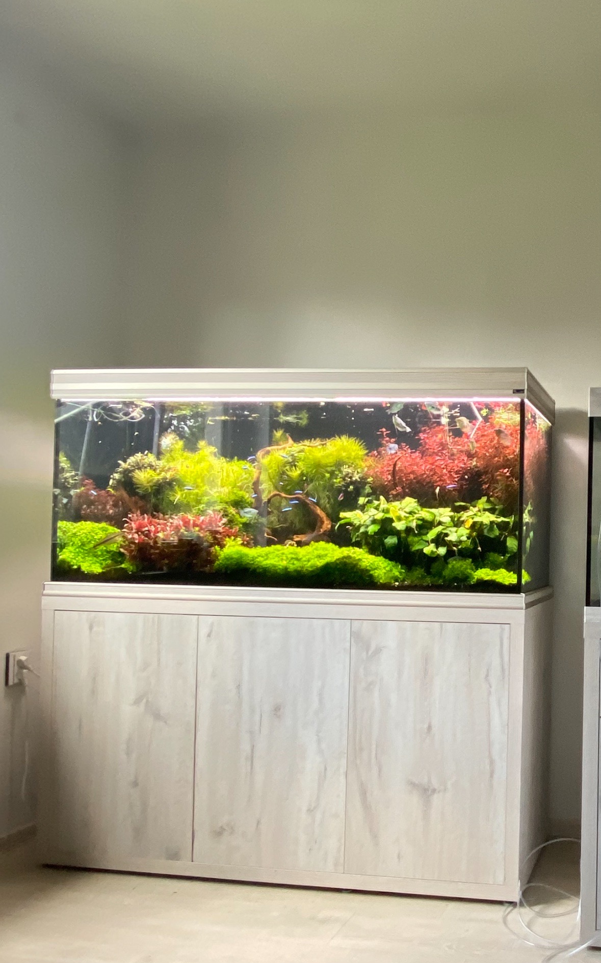 Prodám Aquatlantis Fusion 150, bílý dub,500l