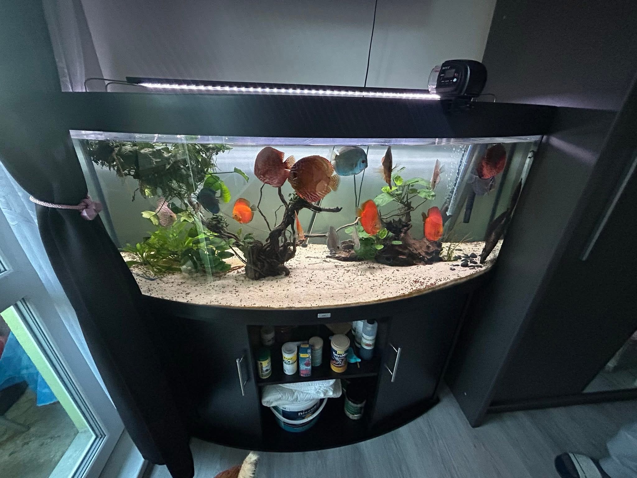 Akvarijní set Juwel Vision 450