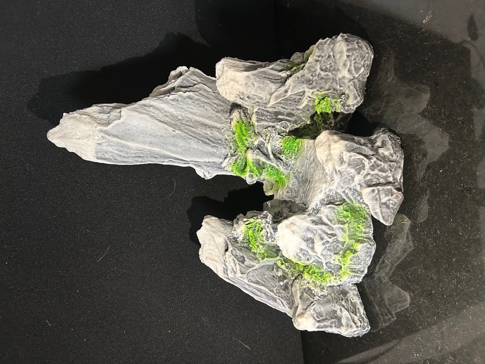 Akalka vhodne pro vysoky akvaria